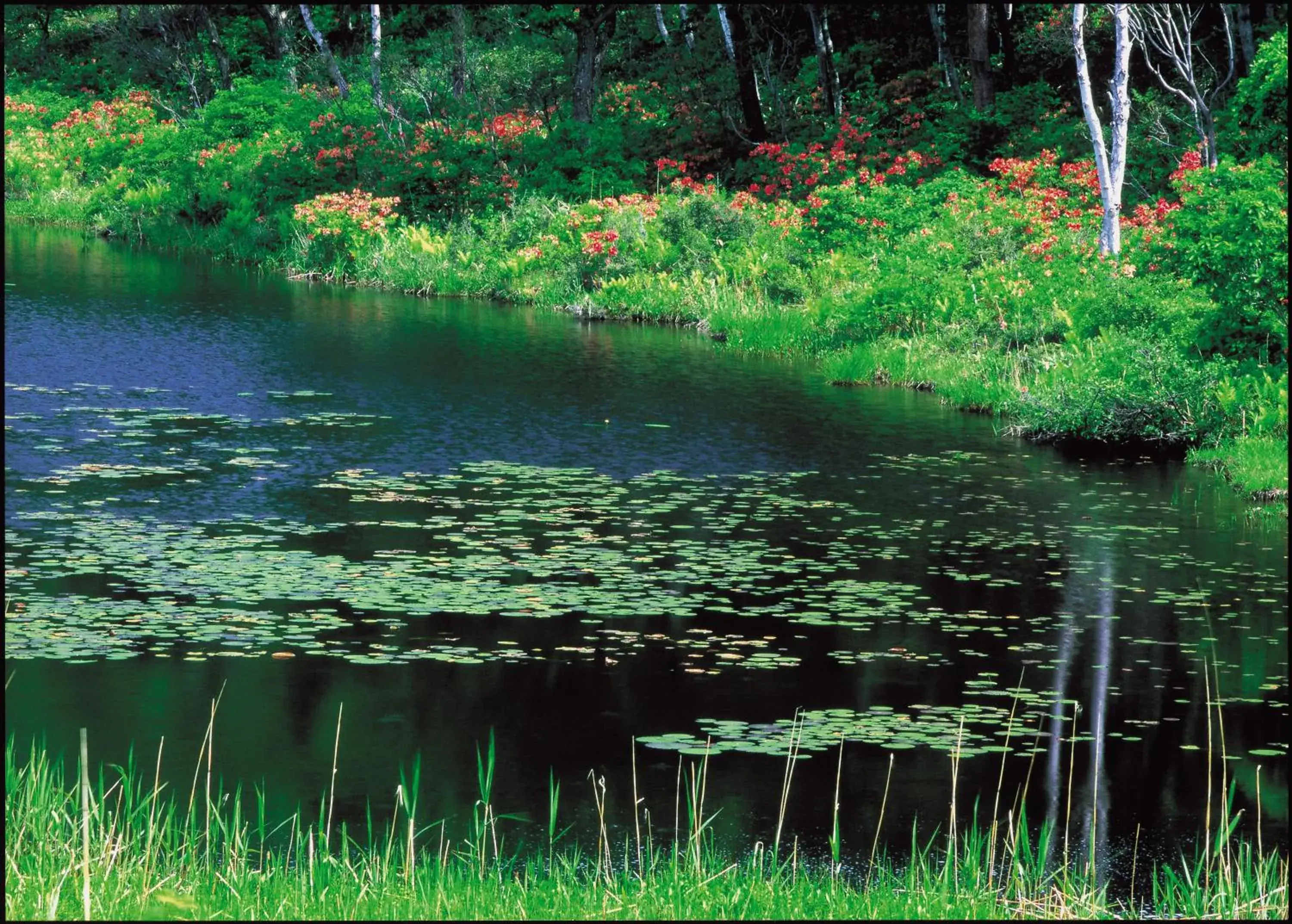 Off site, Natural Landscape in Hotel Japan Shiga