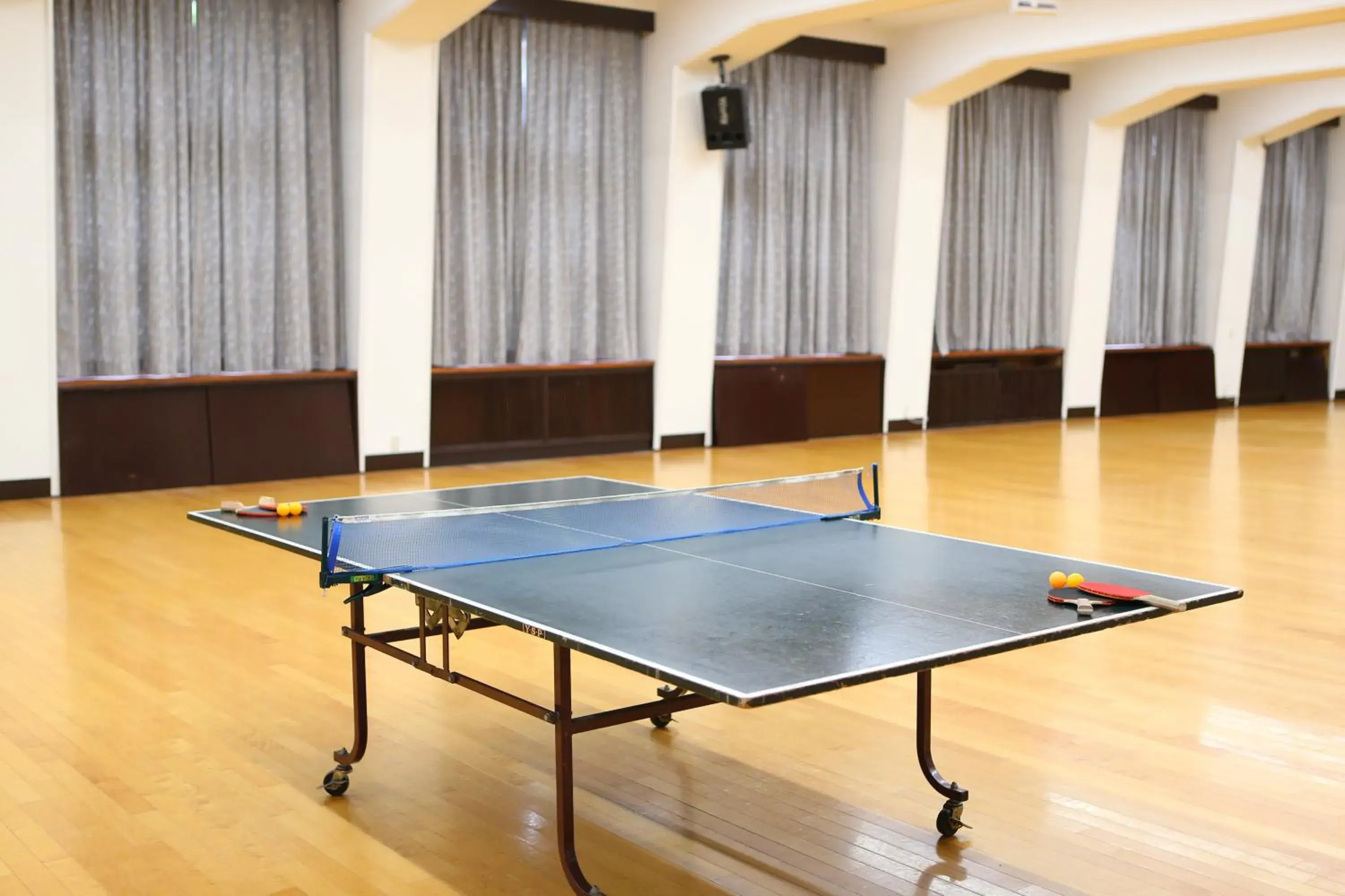 Area and facilities, Table Tennis in Hotel Japan Shiga