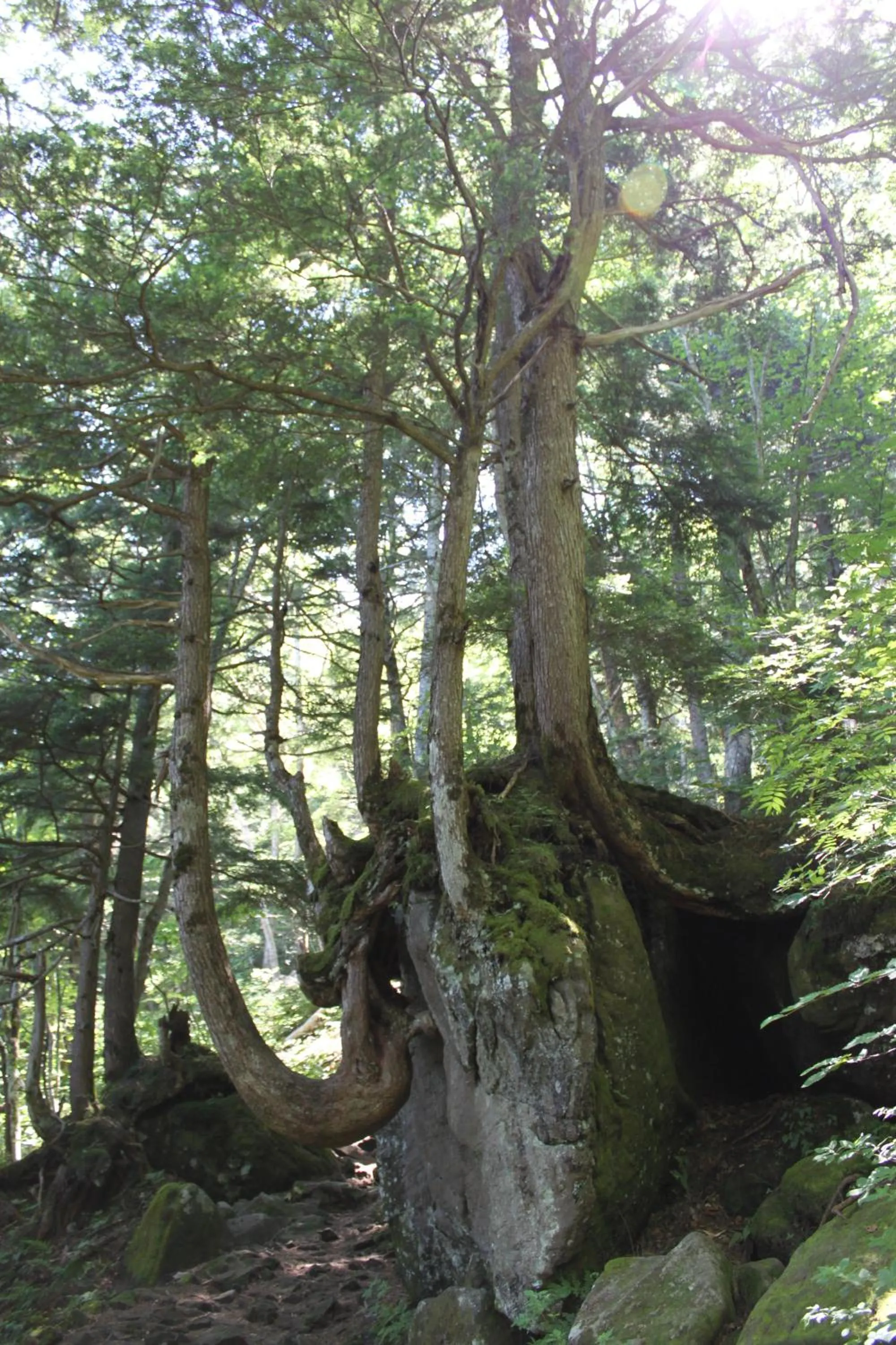 Off site in Hotel Japan Shiga