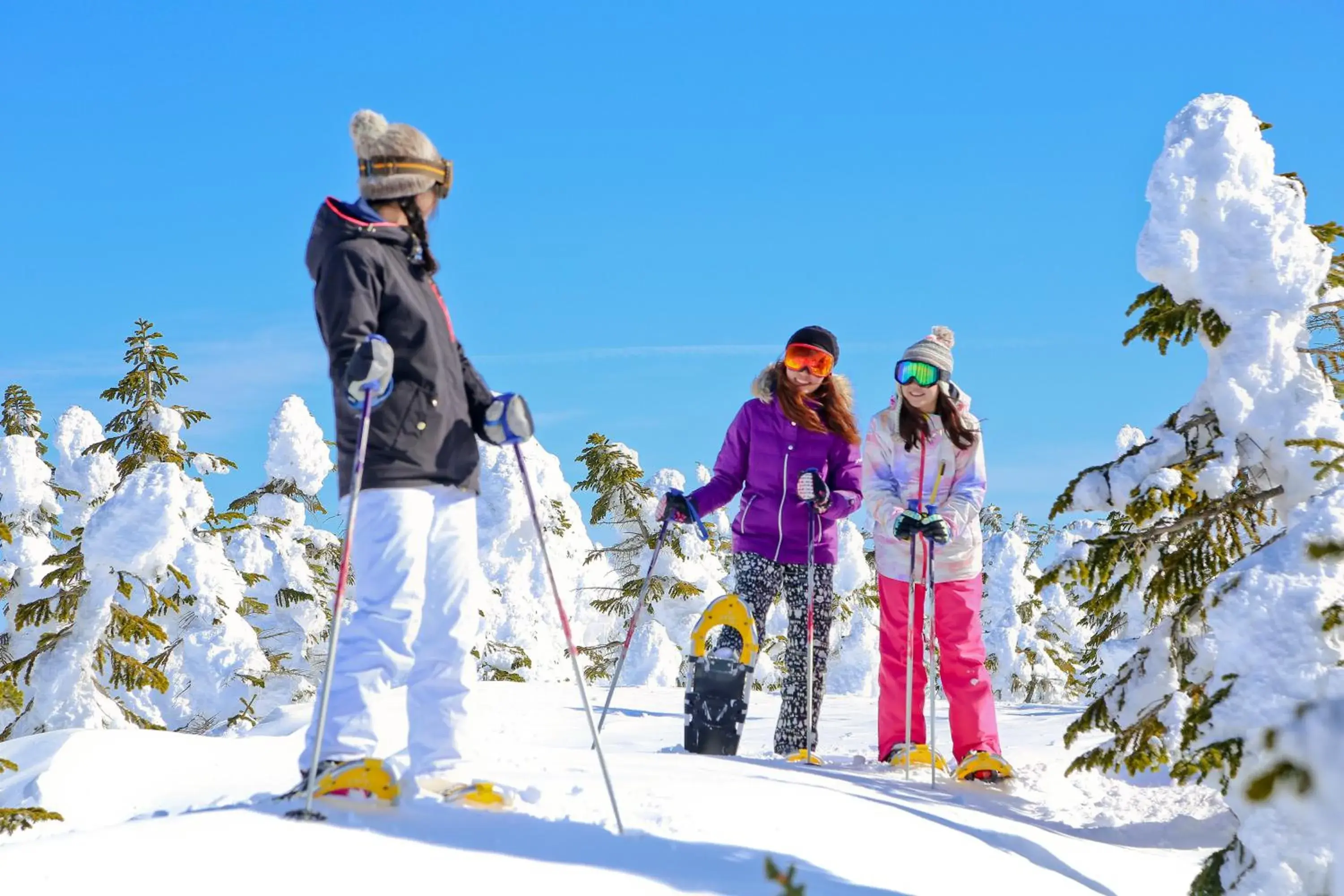 Guests, Skiing in Hotel Japan Shiga