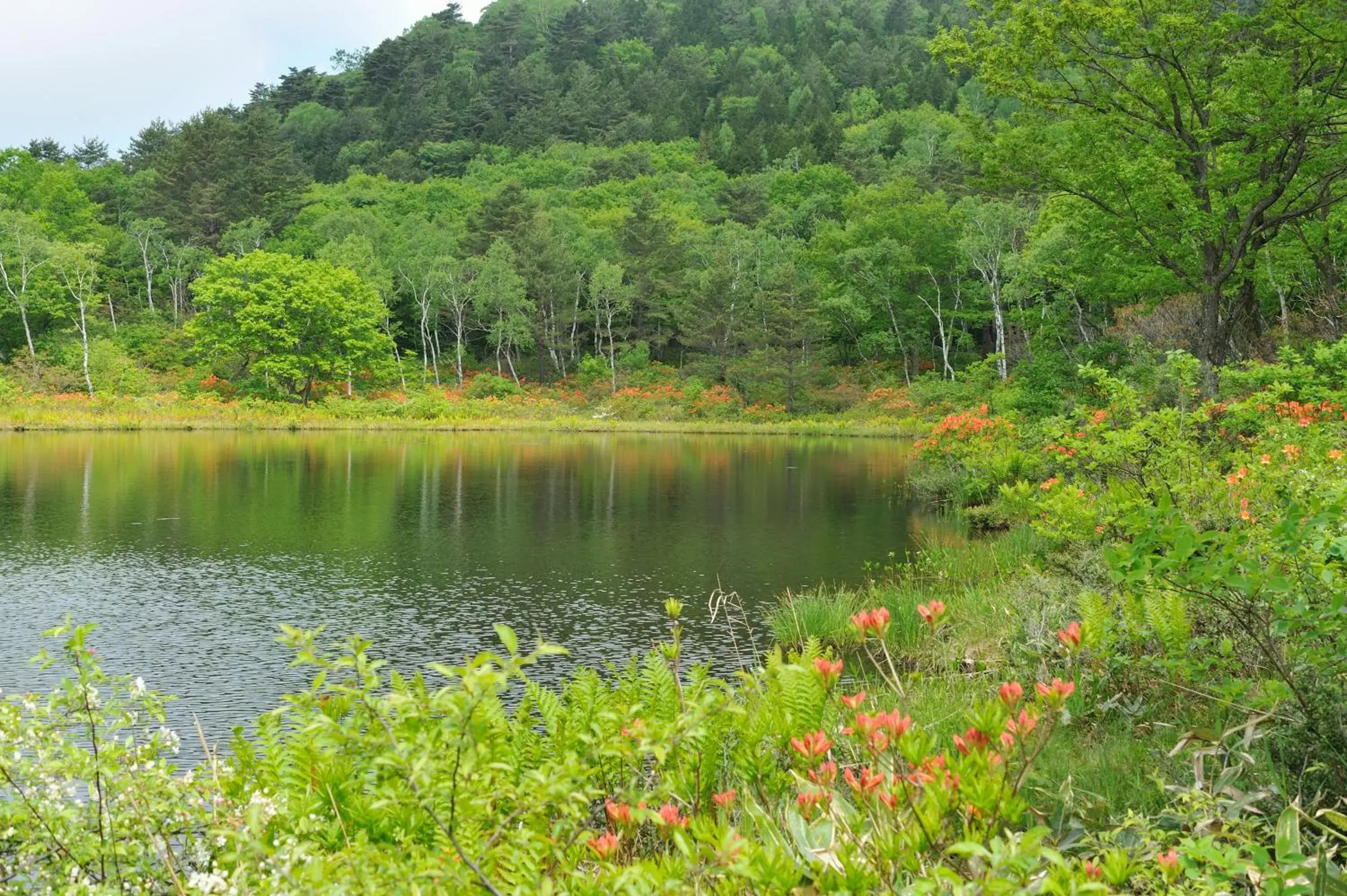 Off site, Natural Landscape in Hotel Japan Shiga