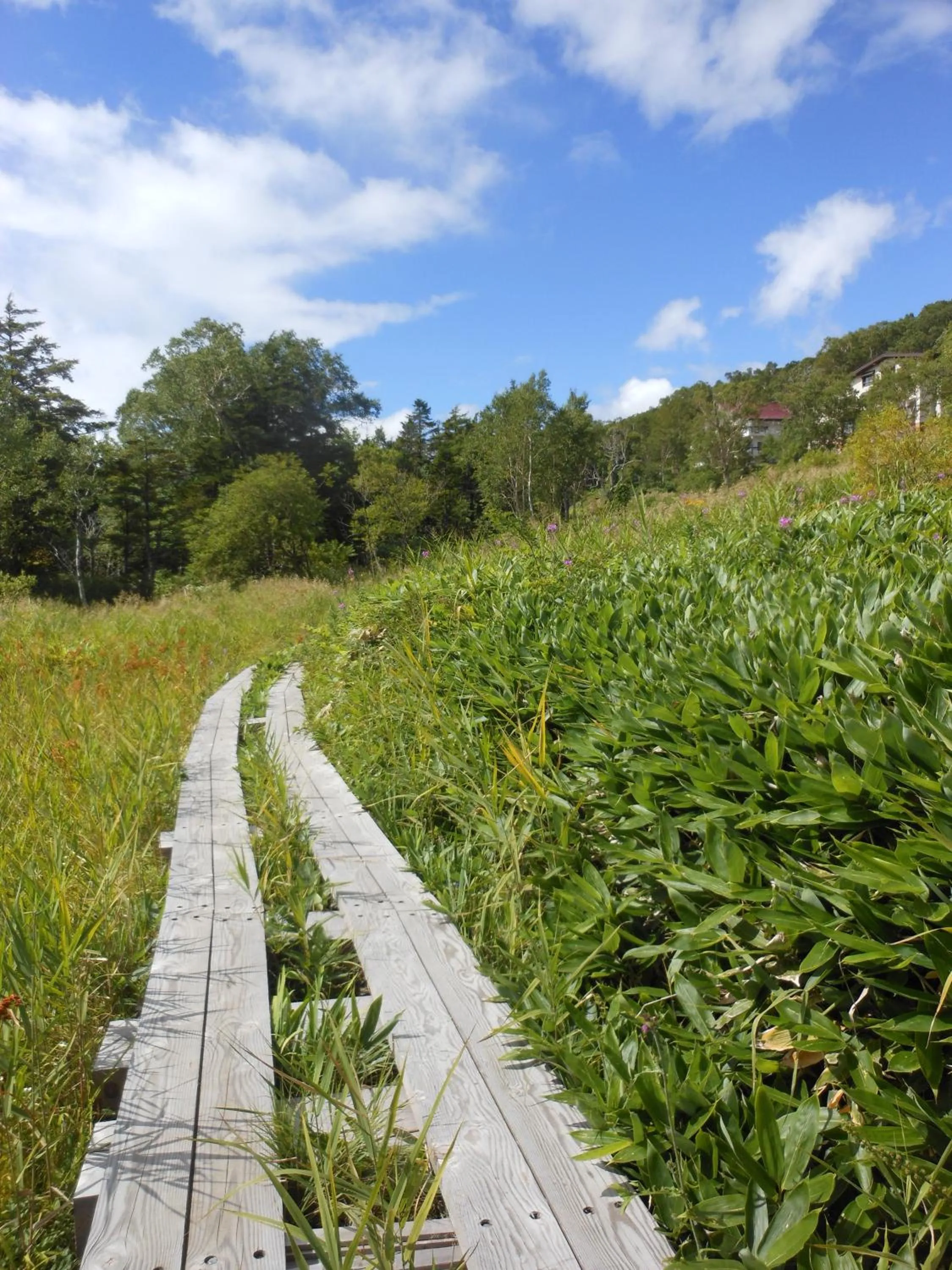 Off site in Hotel Japan Shiga