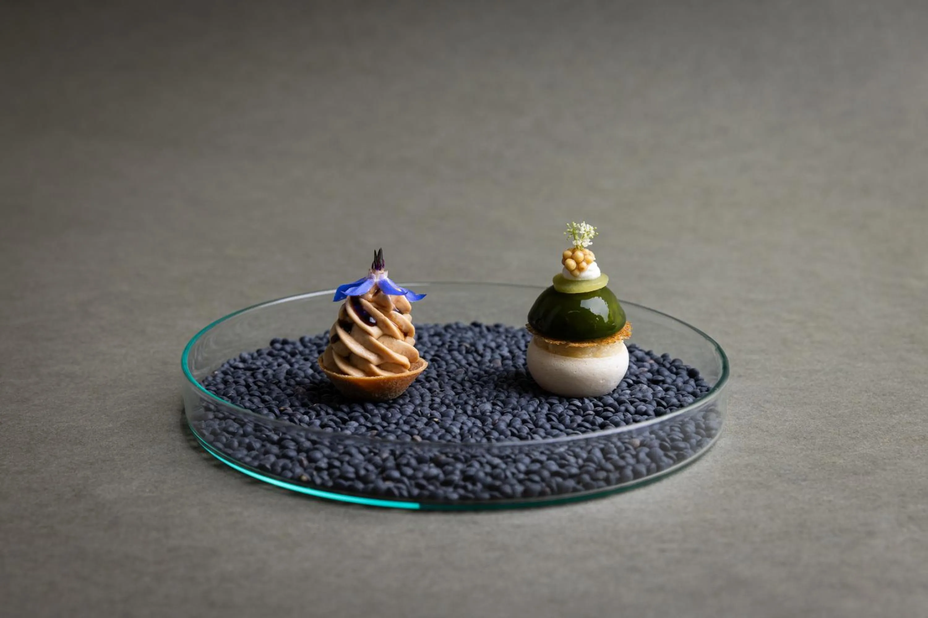 Restaurant/places to eat in Hotel Elephant