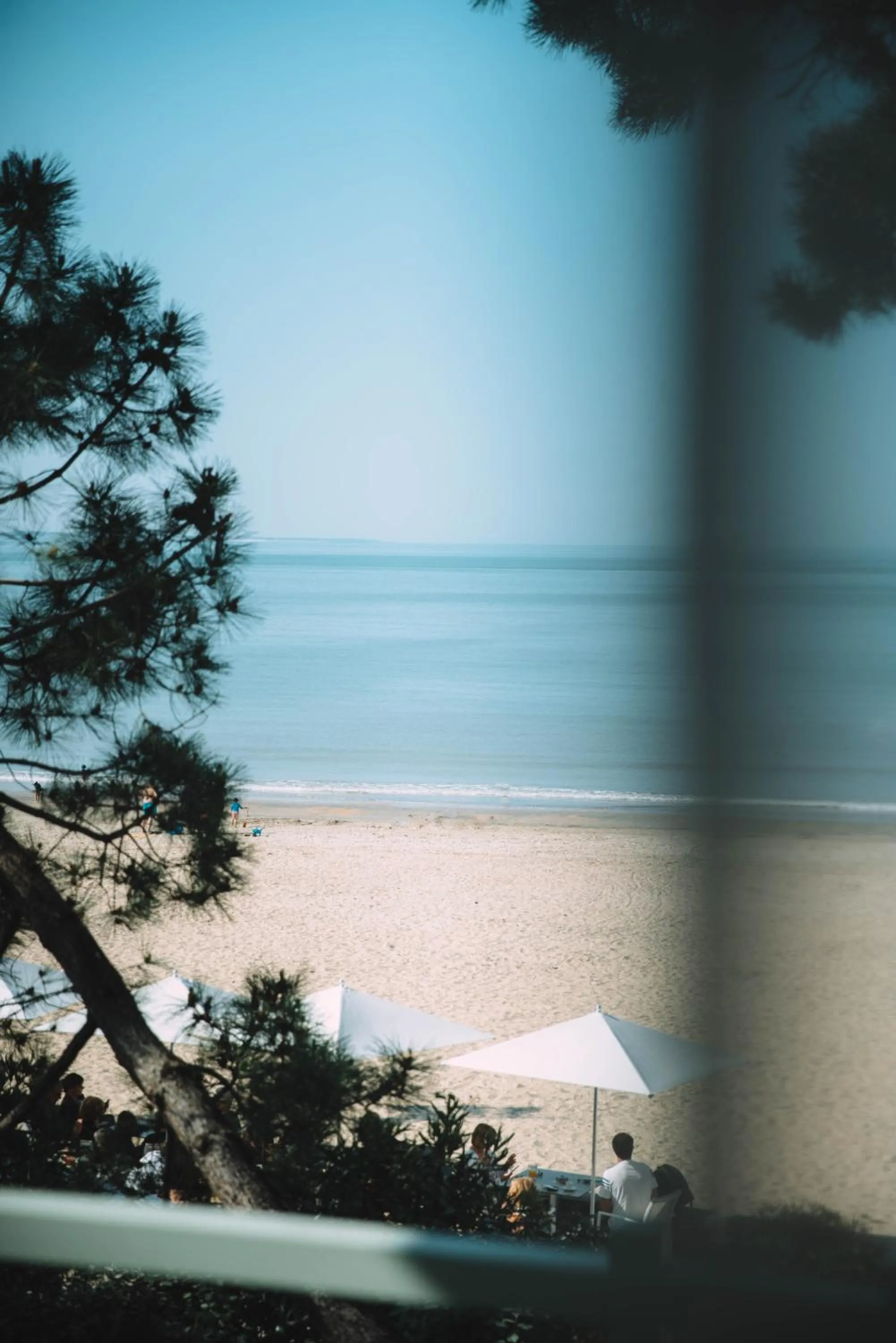 Natural landscape in Hôtel Hemen