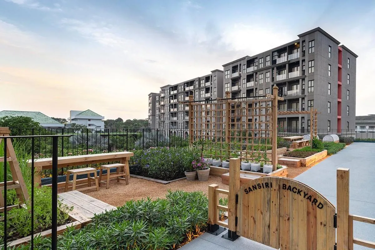 Lollipop Lahabana Huahin