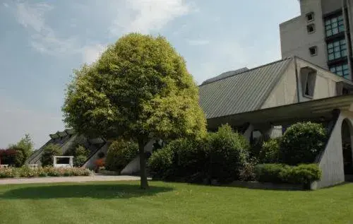 Hotel Cavallino Hotel Cavallino