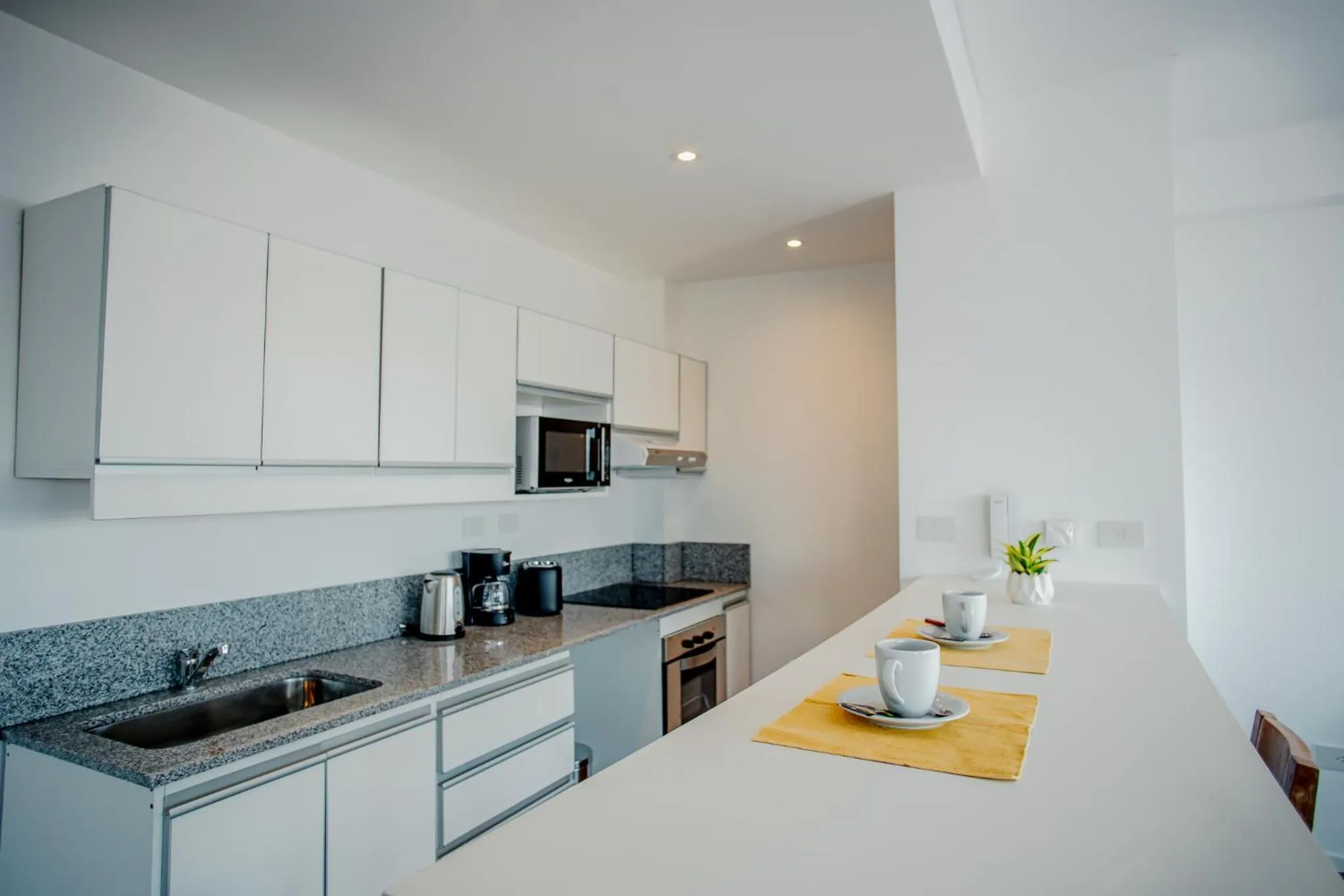 kitchen in Turek Residences