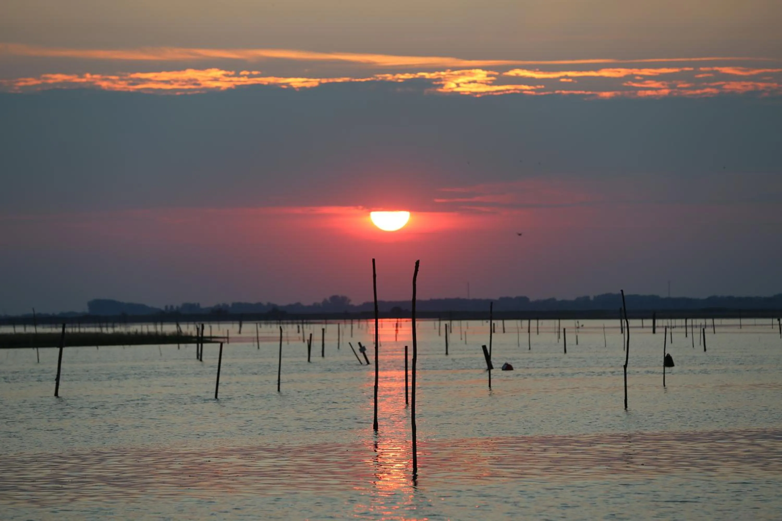 View (from property/room) in Isola di Albarella Golf Hotel