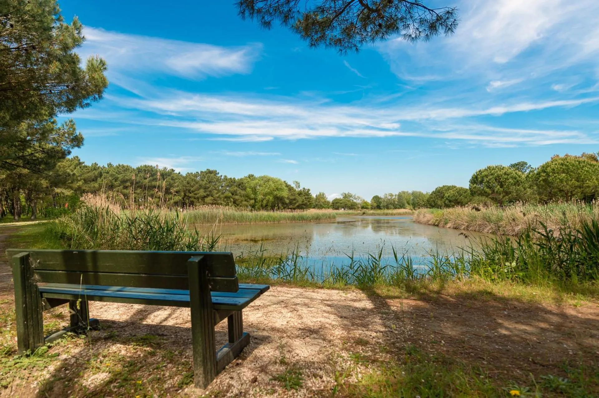 View (from property/room) in Isola di Albarella Golf Hotel