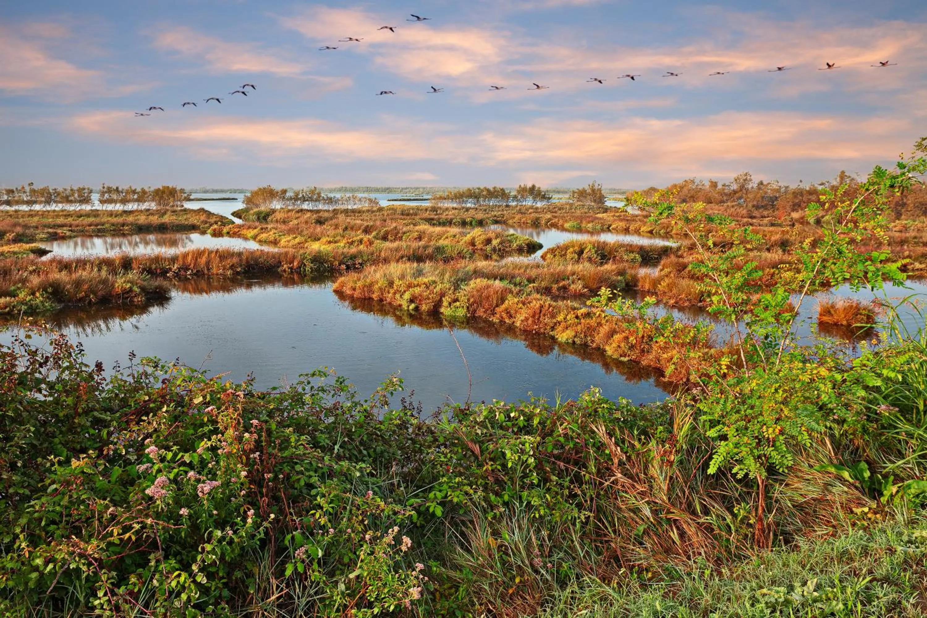 Natural landscape in Isola di Albarella Golf Hotel