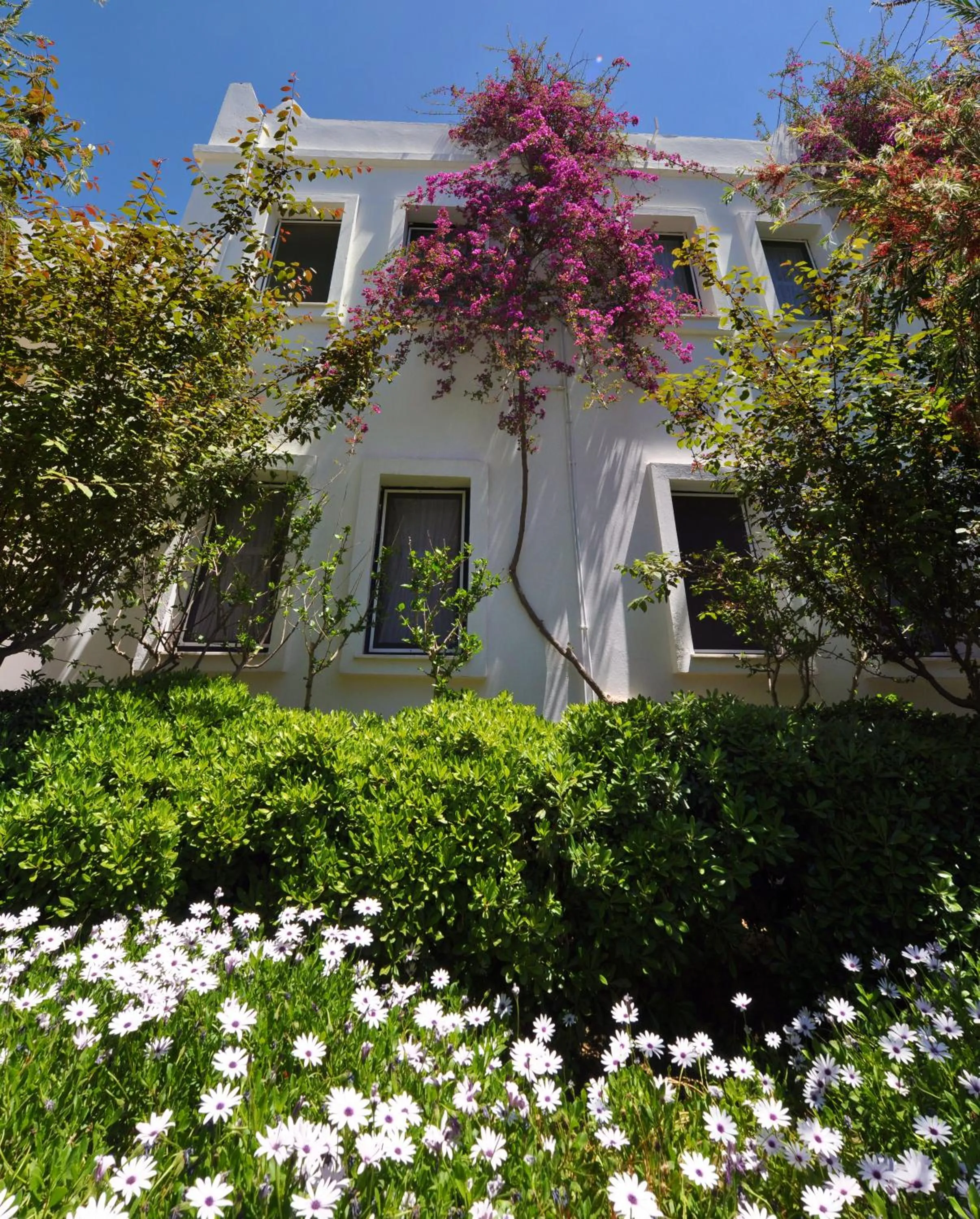 Natural landscape in Hotel Atrium
