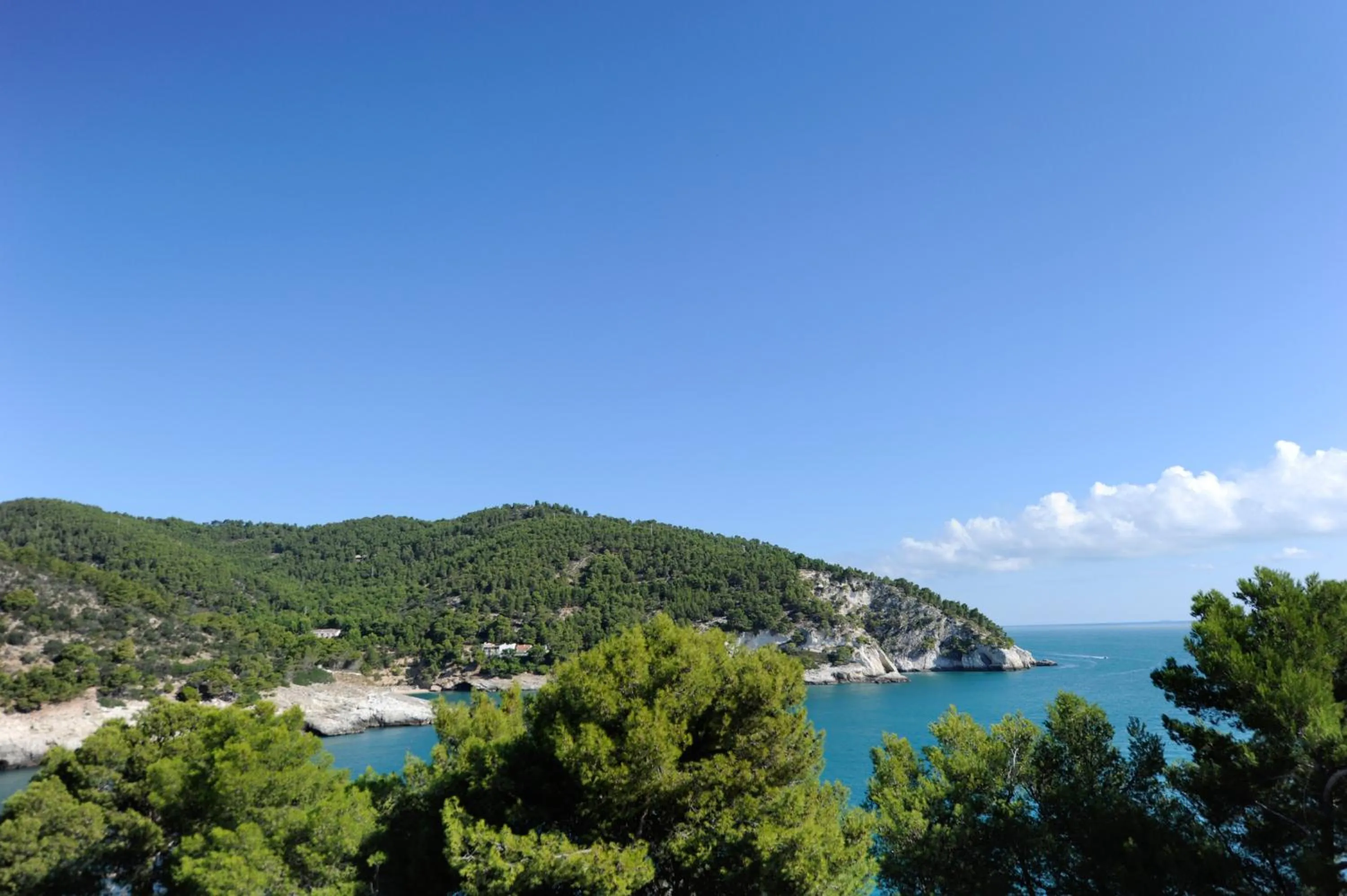 Natural landscape in Pugnochiuso Resort Hotel del Faro