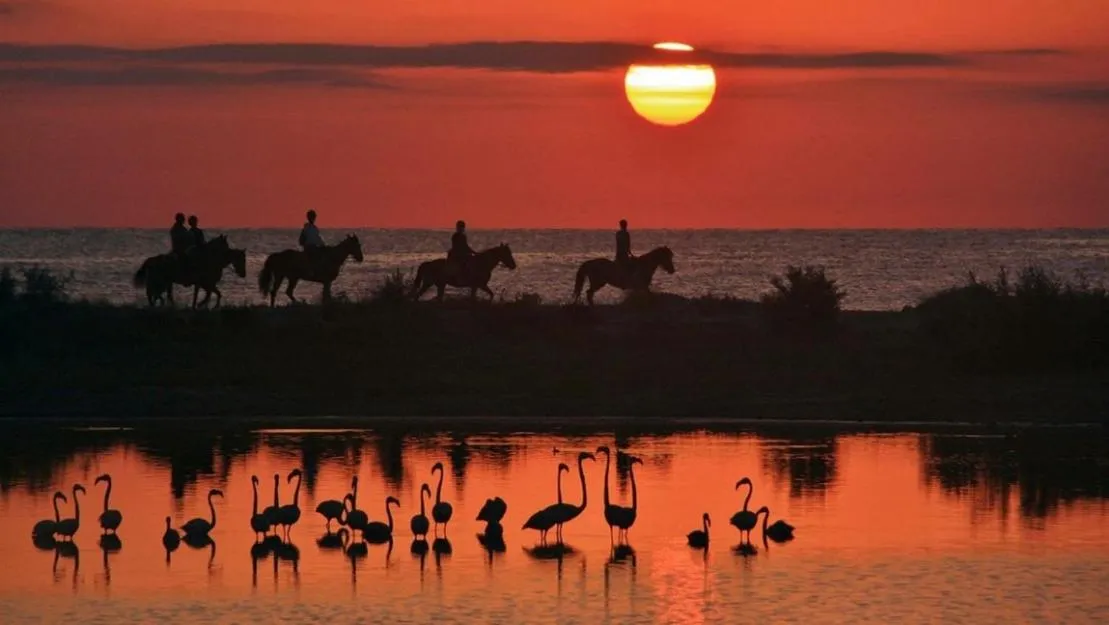 Natural landscape in Hotel L'Aragosta