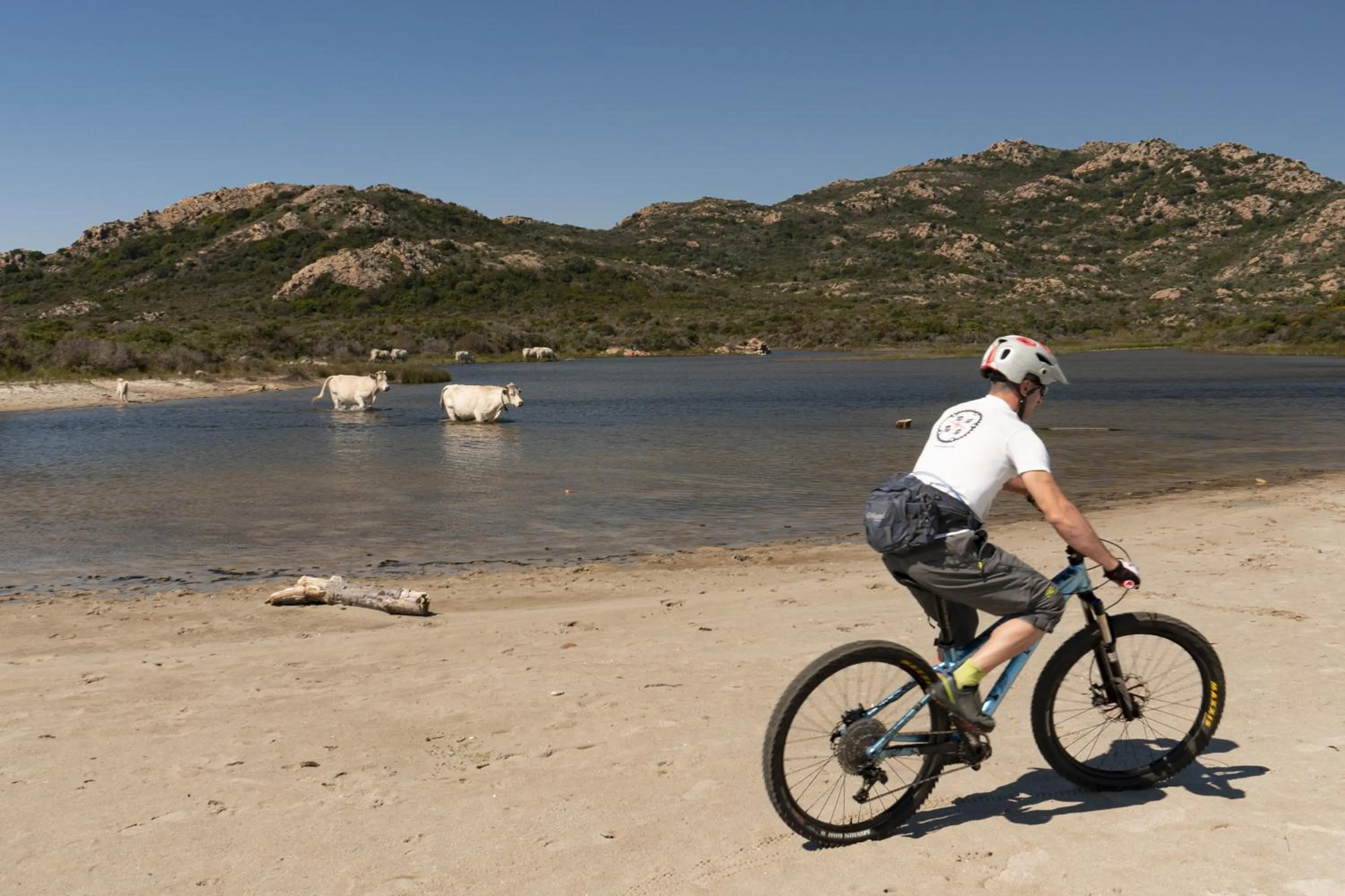 Day in Hotel L'Aragosta