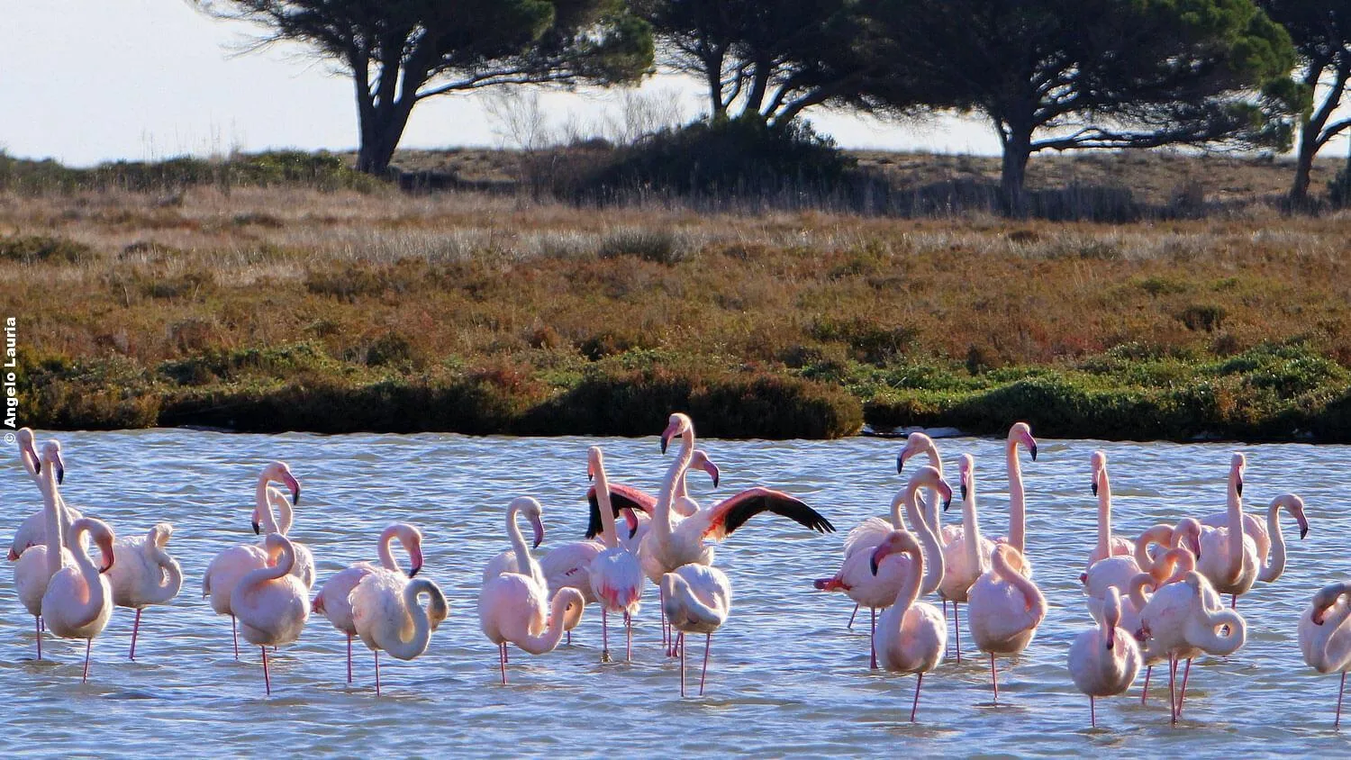 Day in Hotel L'Aragosta