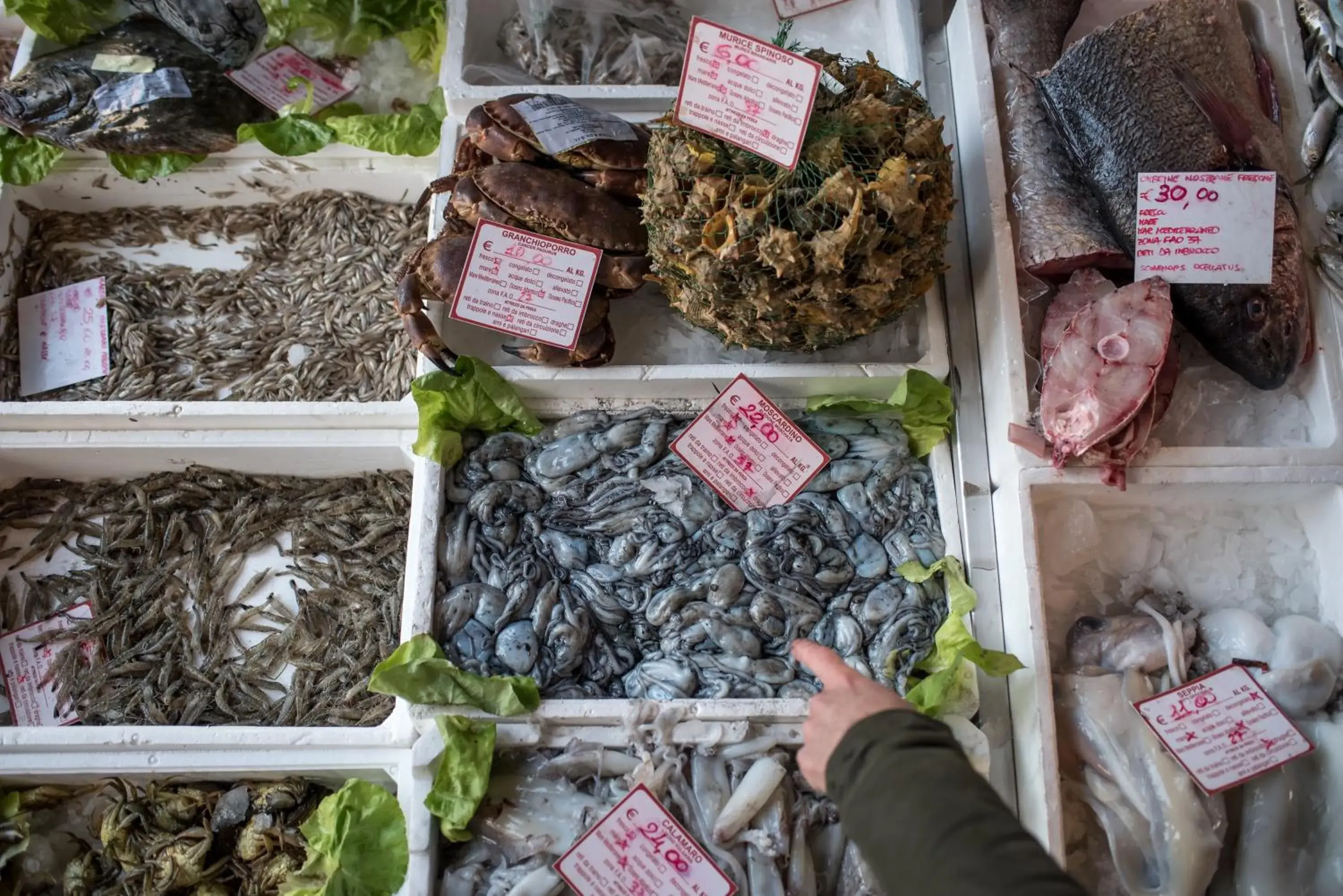 Food in Villa Franceschi Hotel & Resort Food in Villa Franceschi Hotel & Resort