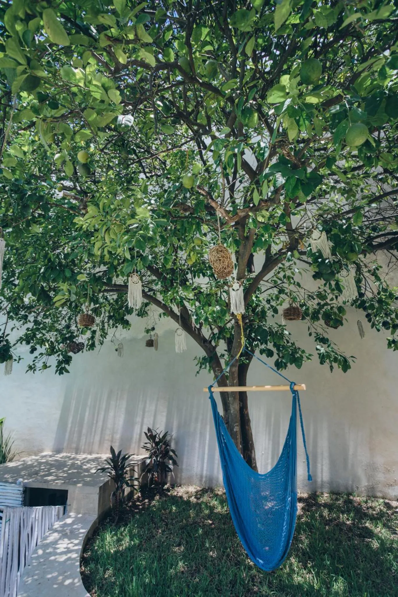 Garden view in VillaBoha