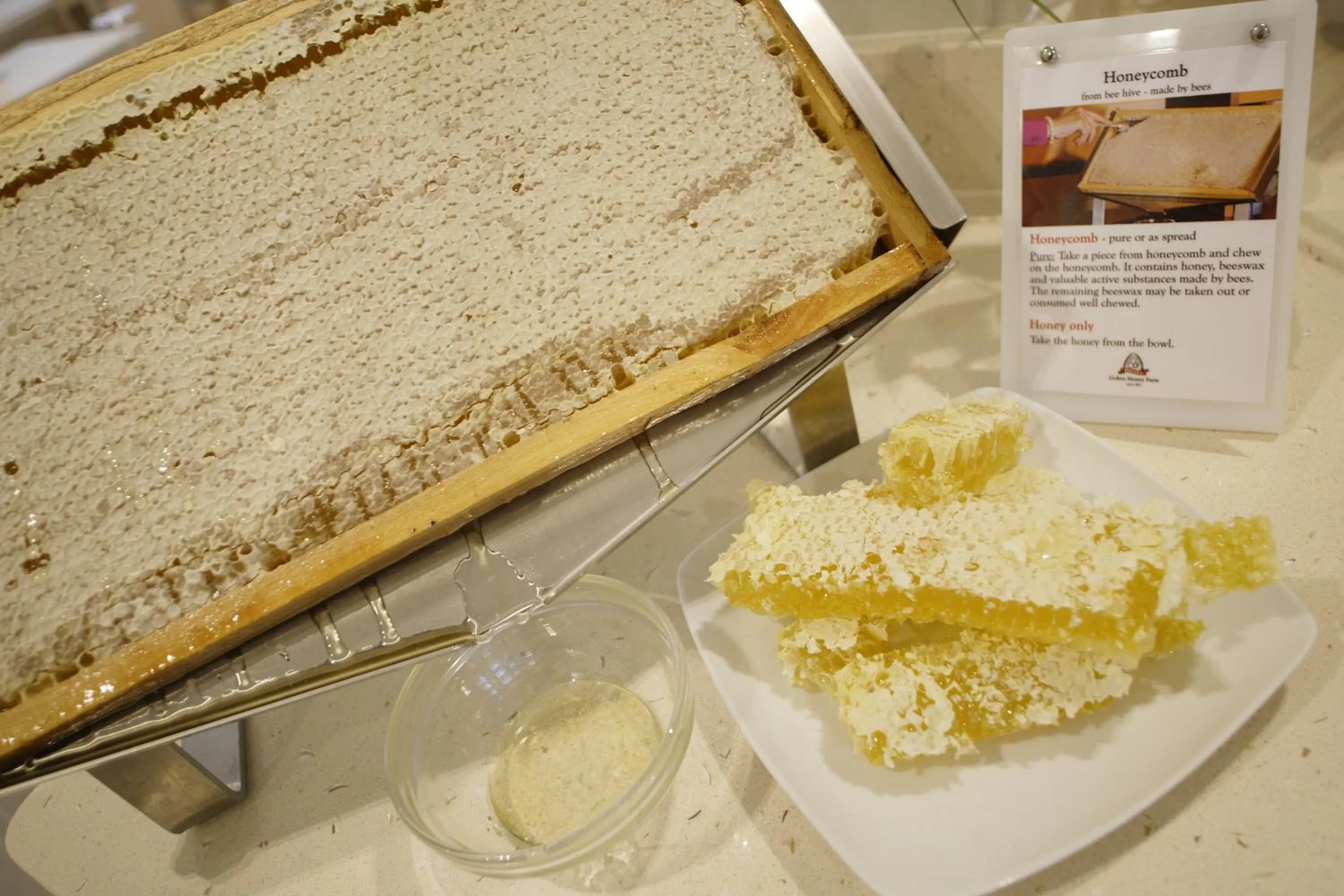 Food and drinks in Hotel Gardenia