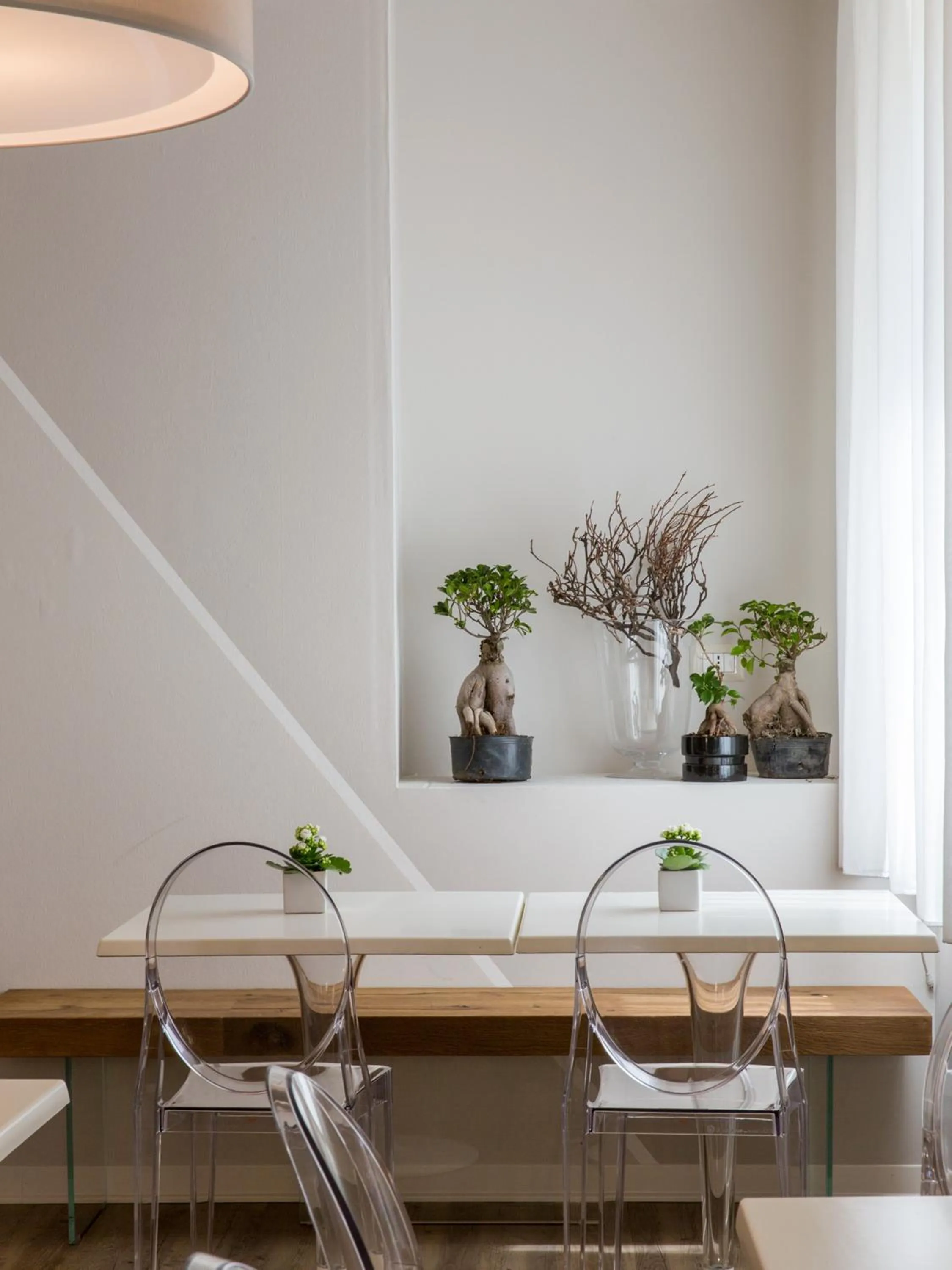 Food and drinks in Hotel Ca' Mura