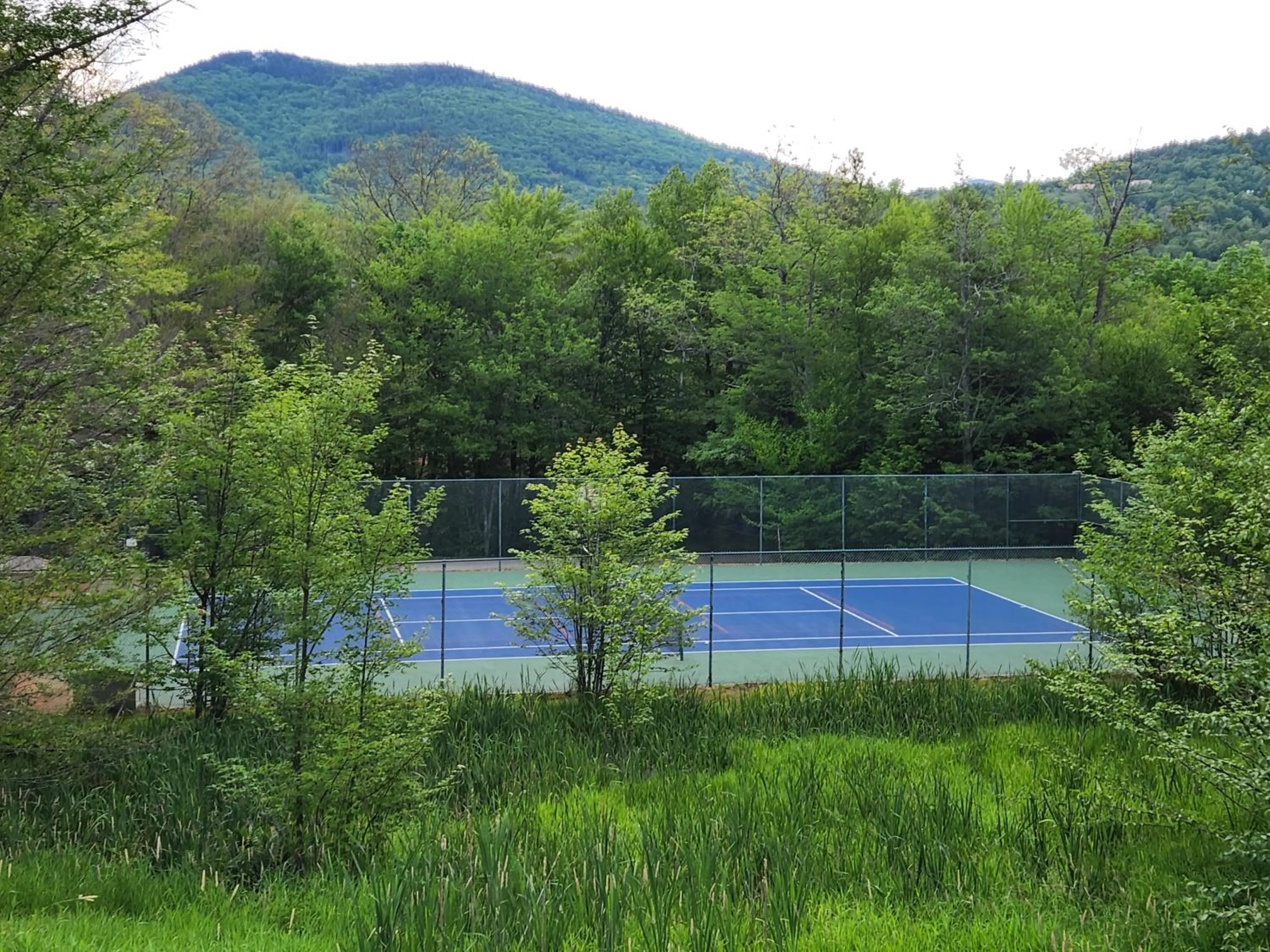 Spring in White Mountains Getaway with amazing views!
