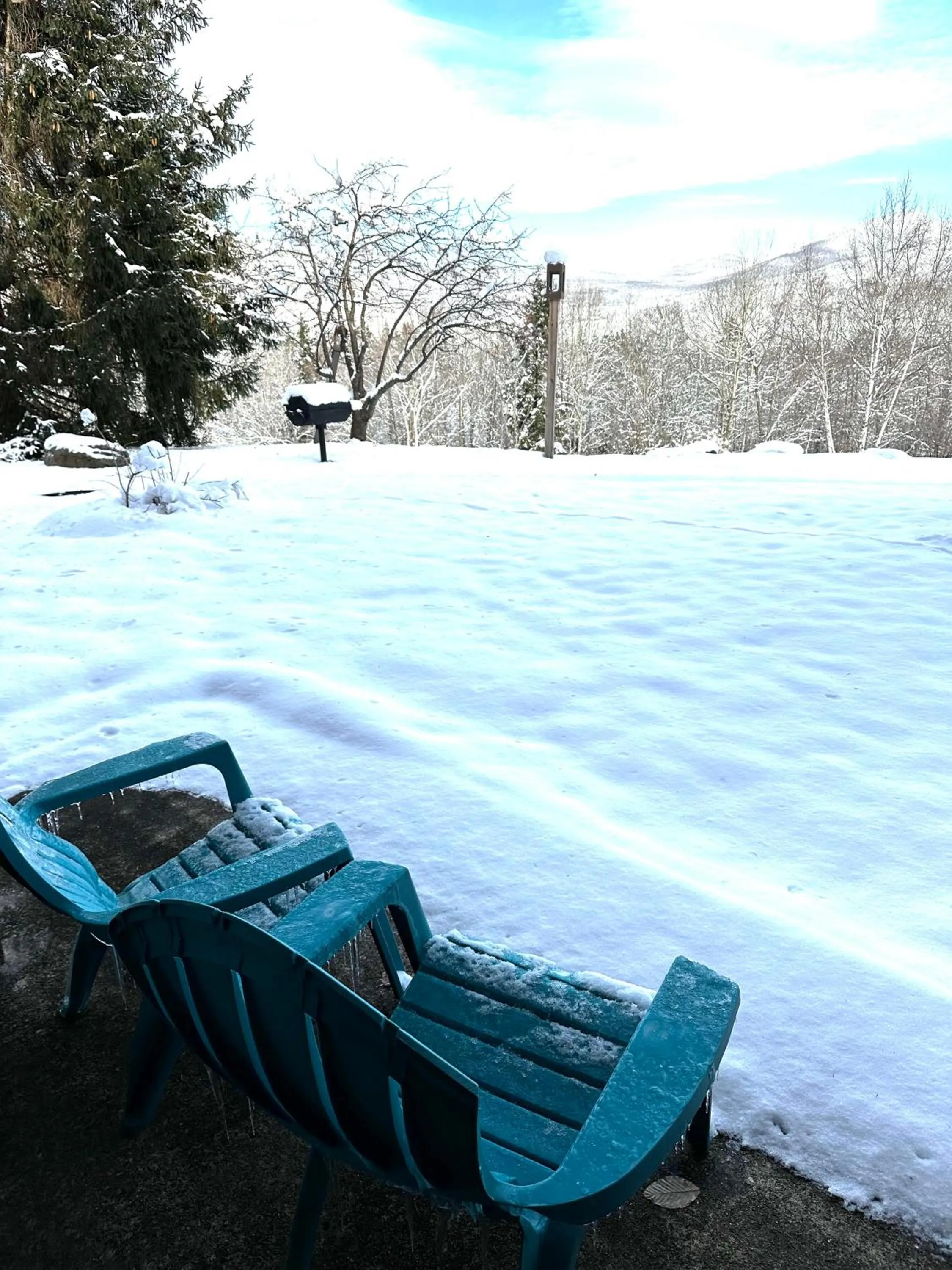 Patio in White Mountains Getaway with amazing views!
