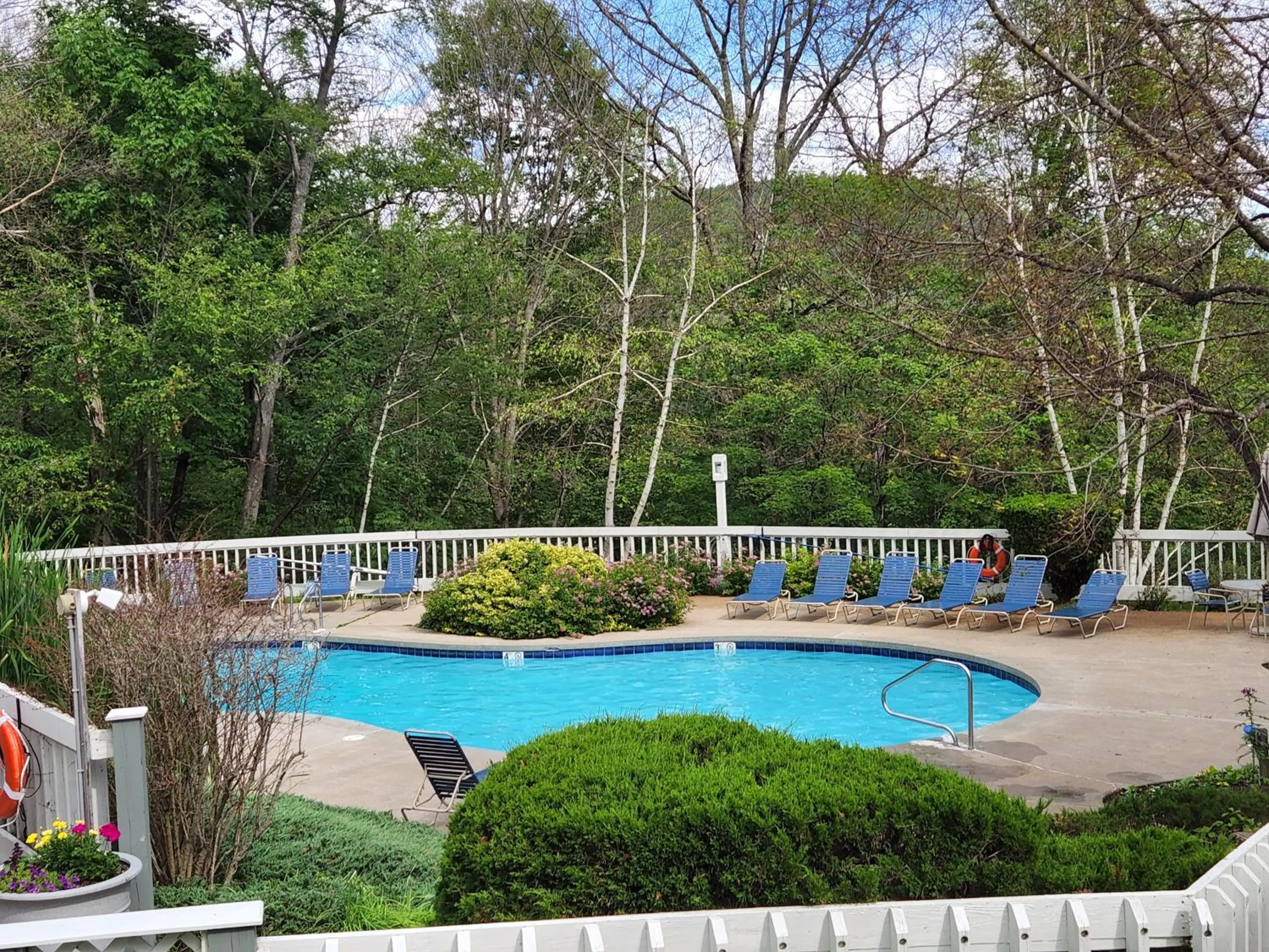 Swimming pool in White Mountains Getaway with amazing views!