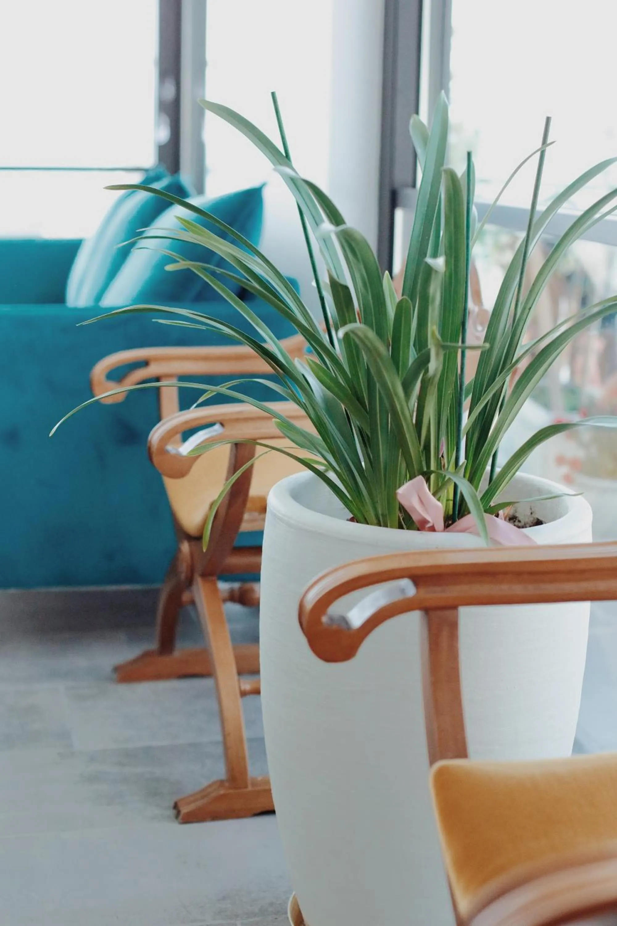 Breakfast in Grand Mirage