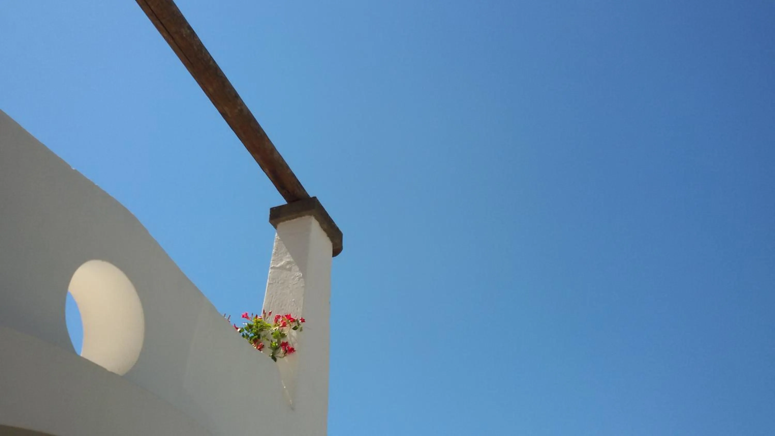 Patio in Hotel Villa Angelica