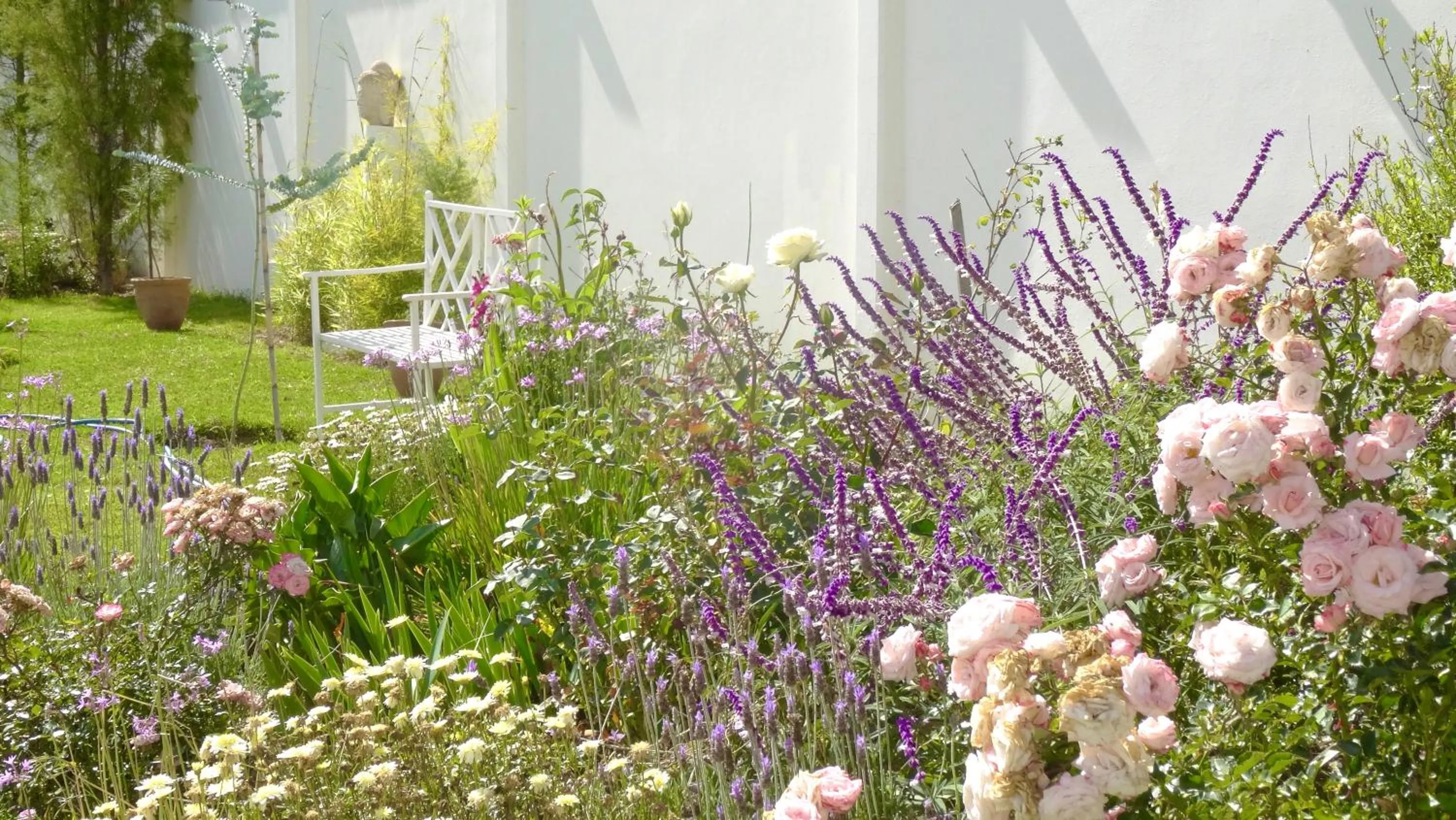 Garden in Casa Deco Hotel Boutique