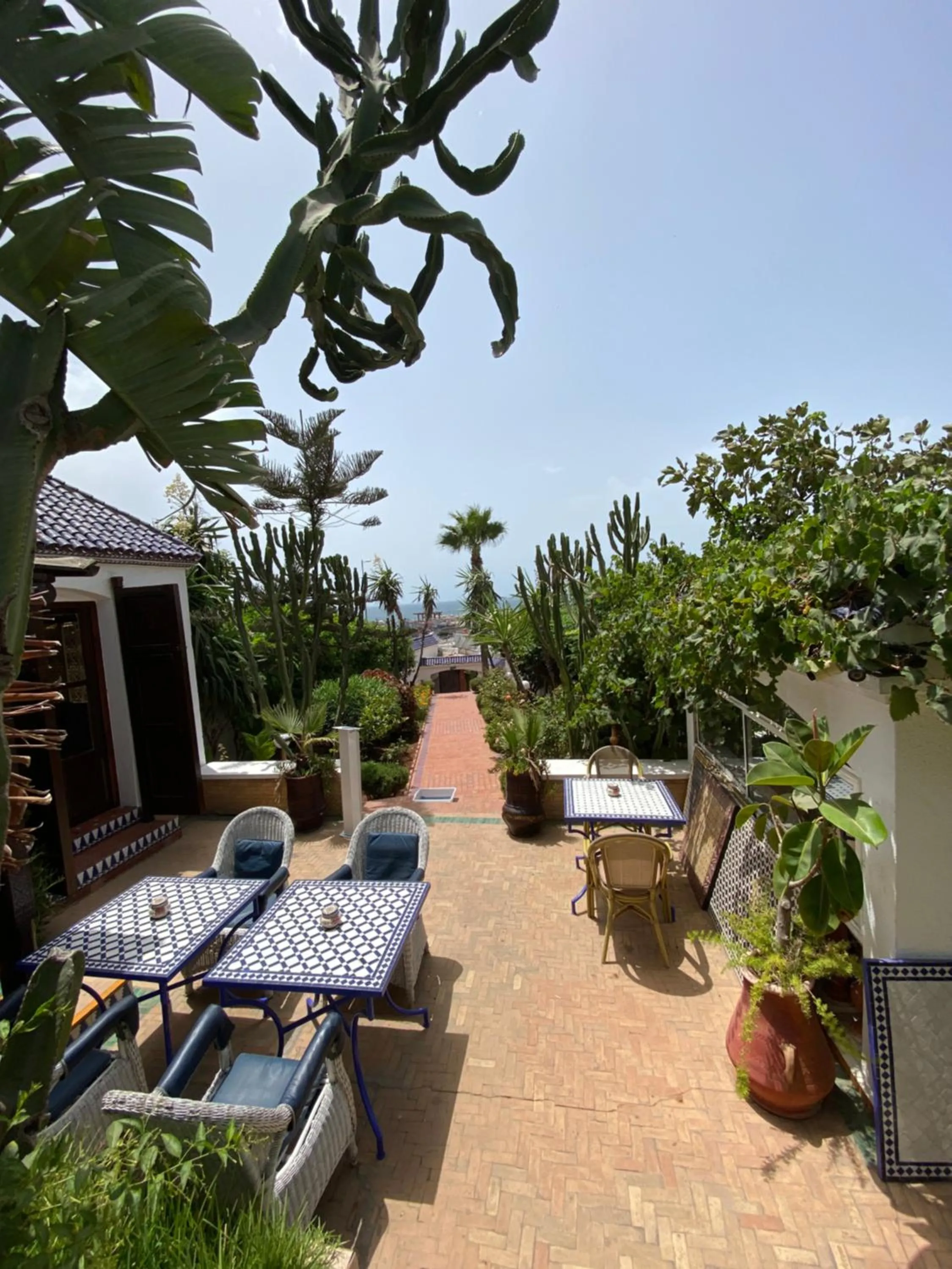 Garden in Ryad du Pêcheur Safi