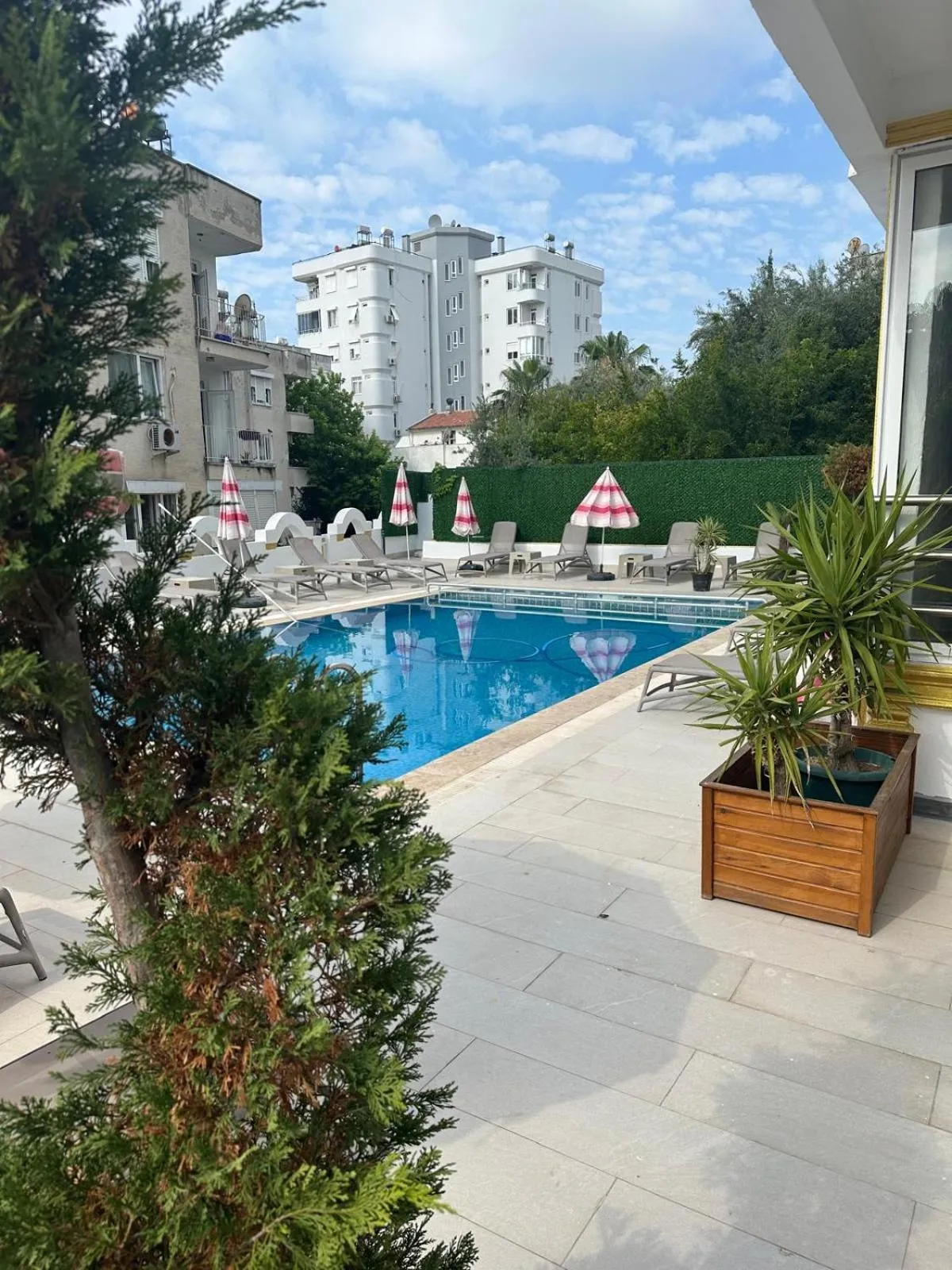 Pool view in DIONISUS LARA