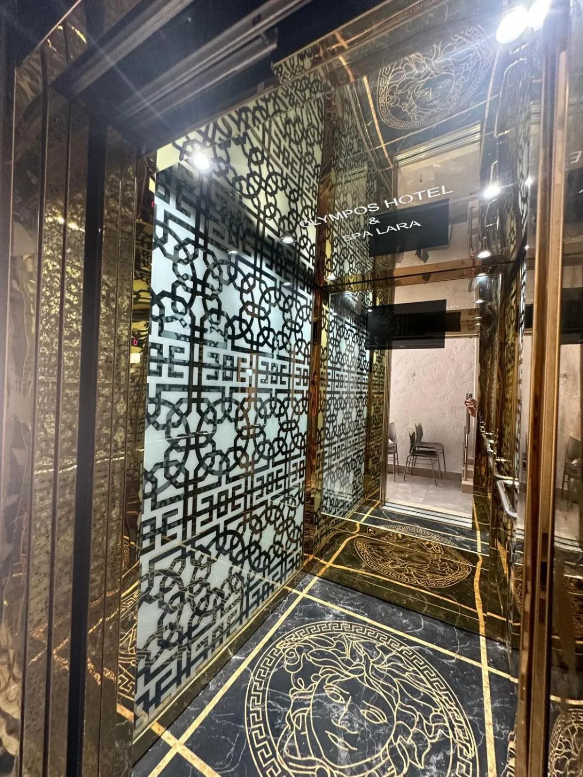 elevator in DIONISUS LARA