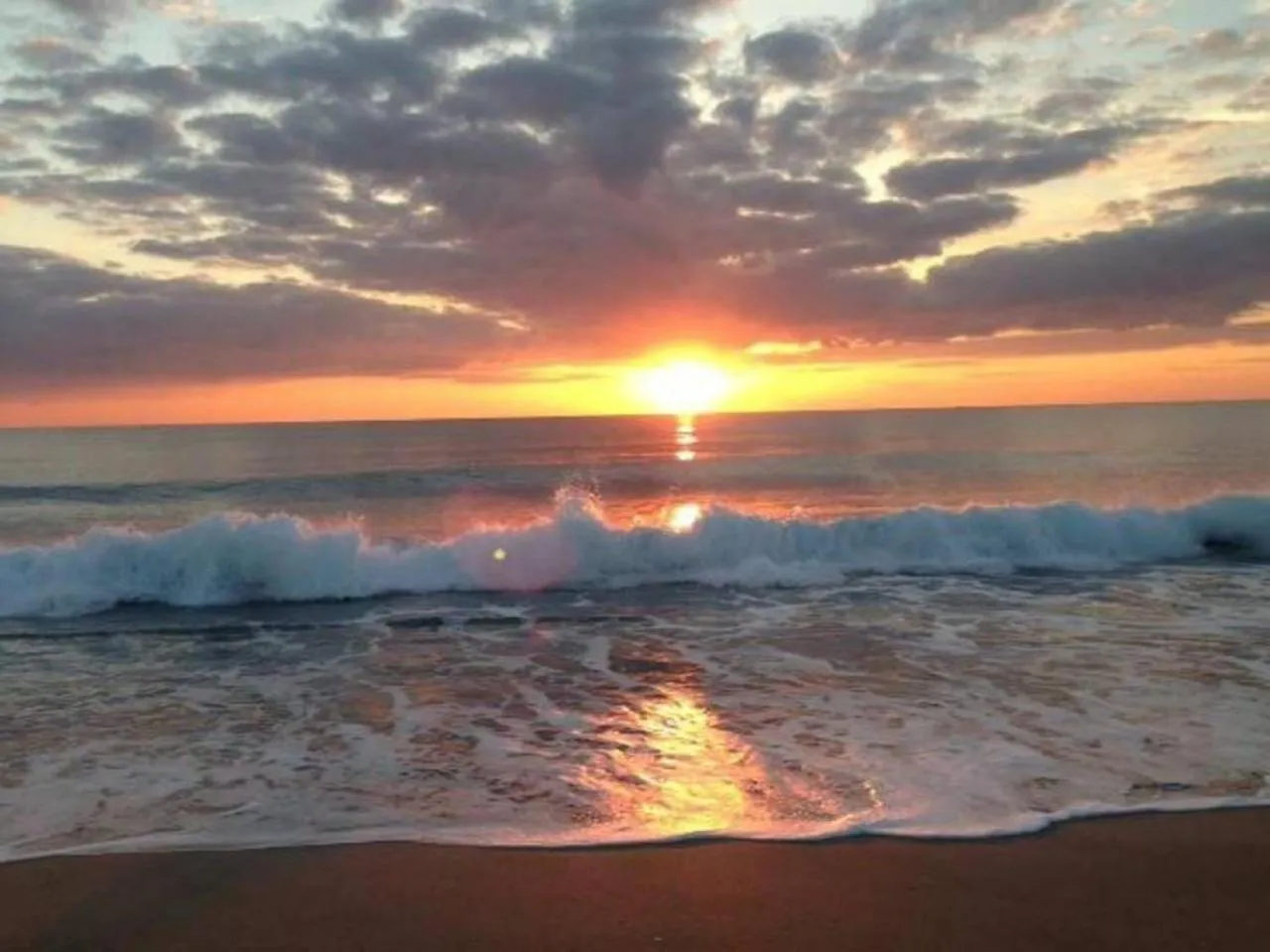Other in Steps to Sand and Sea 1