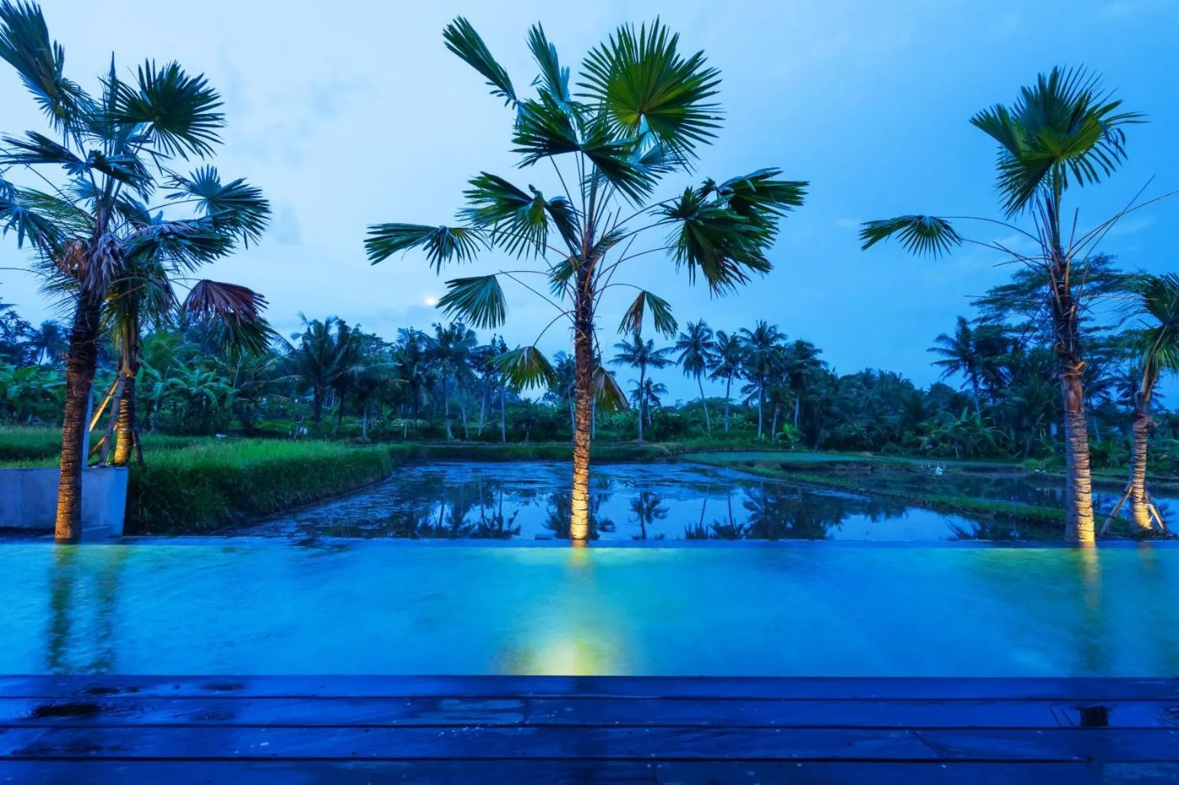 Garden view in Nayaka Living Ubud