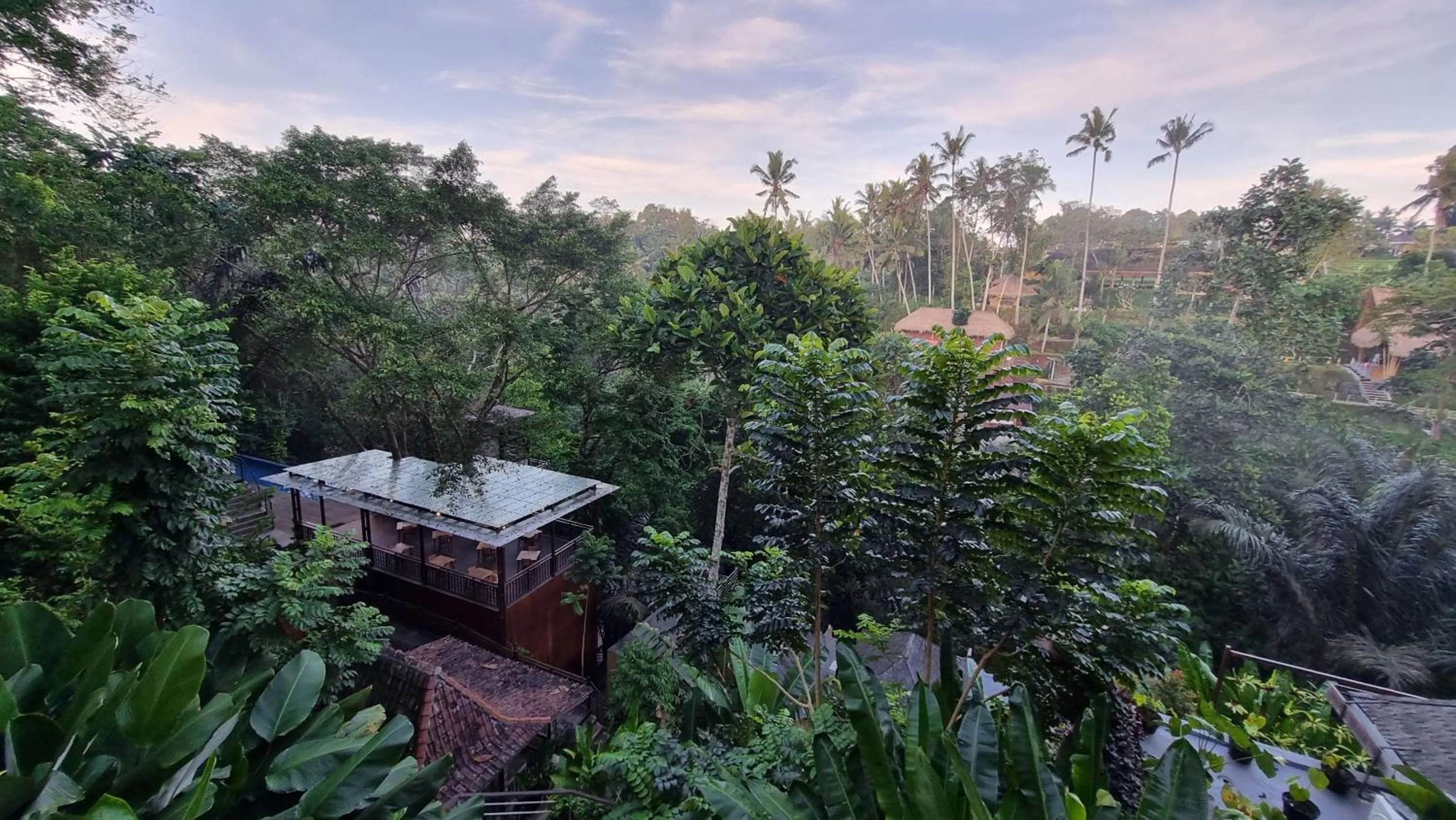 Restaurant/places to eat in The Sebali Resort