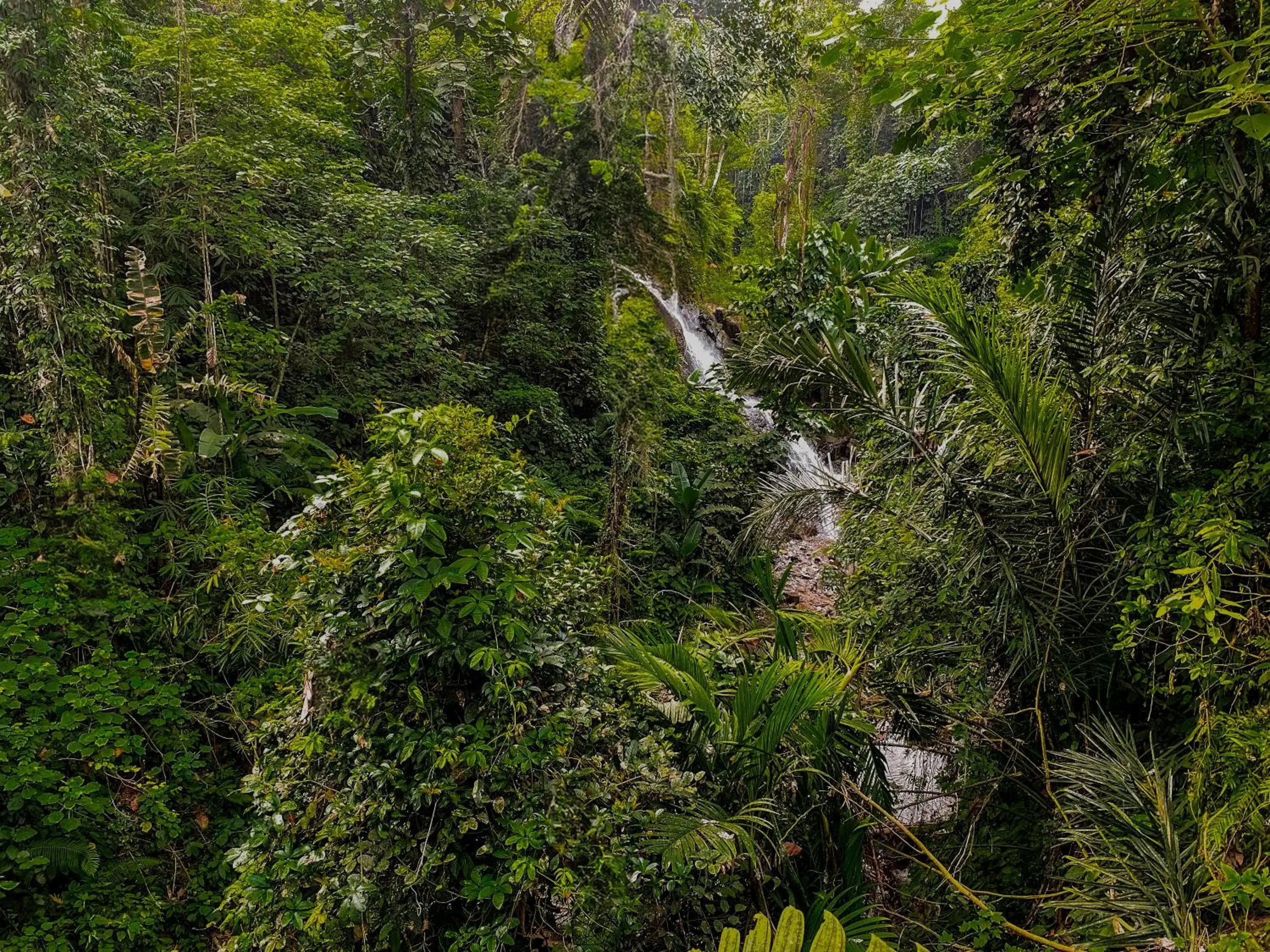 View (from property/room) in The Sebali Resort View (from property/room) in The Sebali Resort