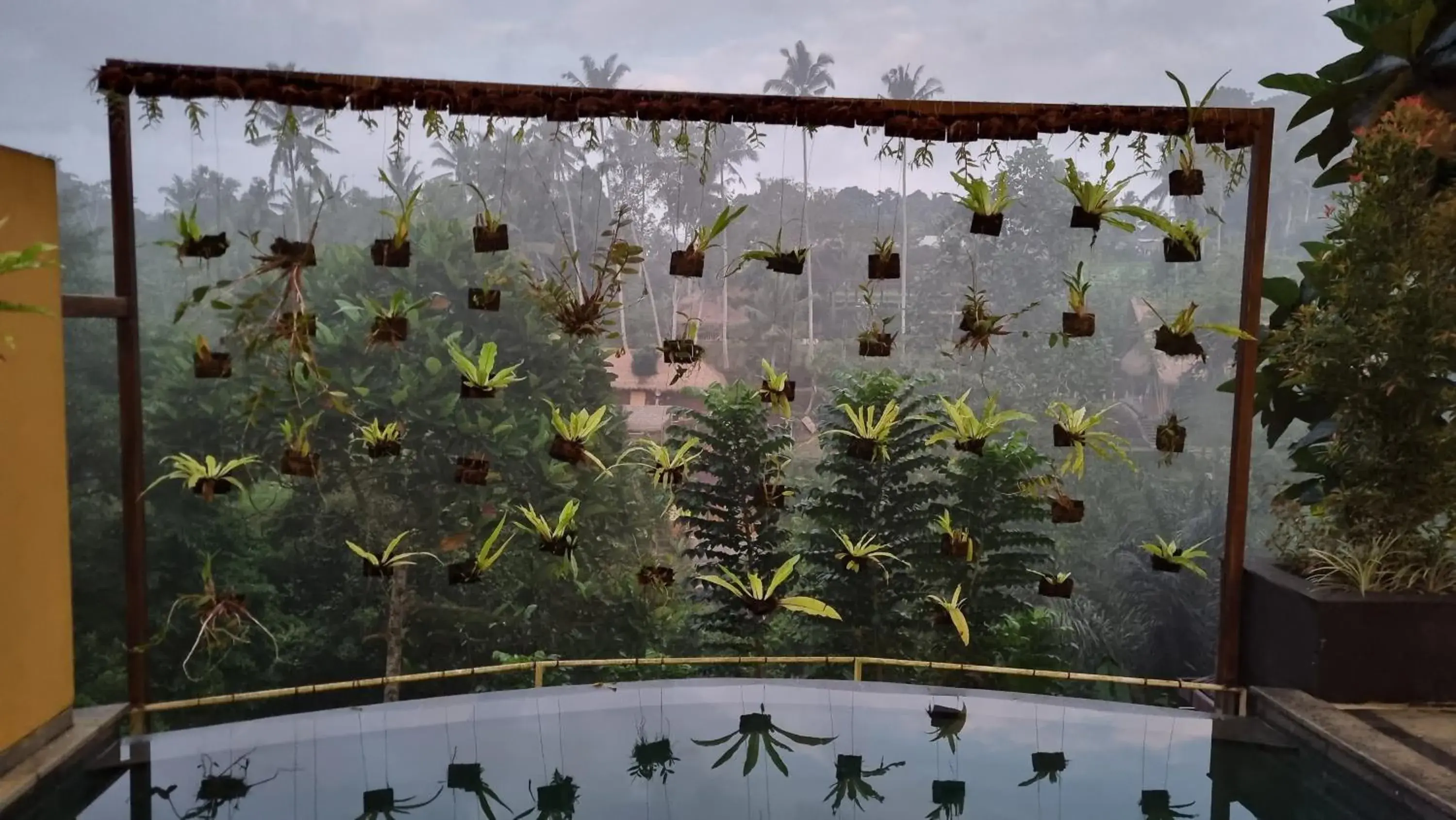 Pool view in The Sebali Resort Pool view in The Sebali Resort