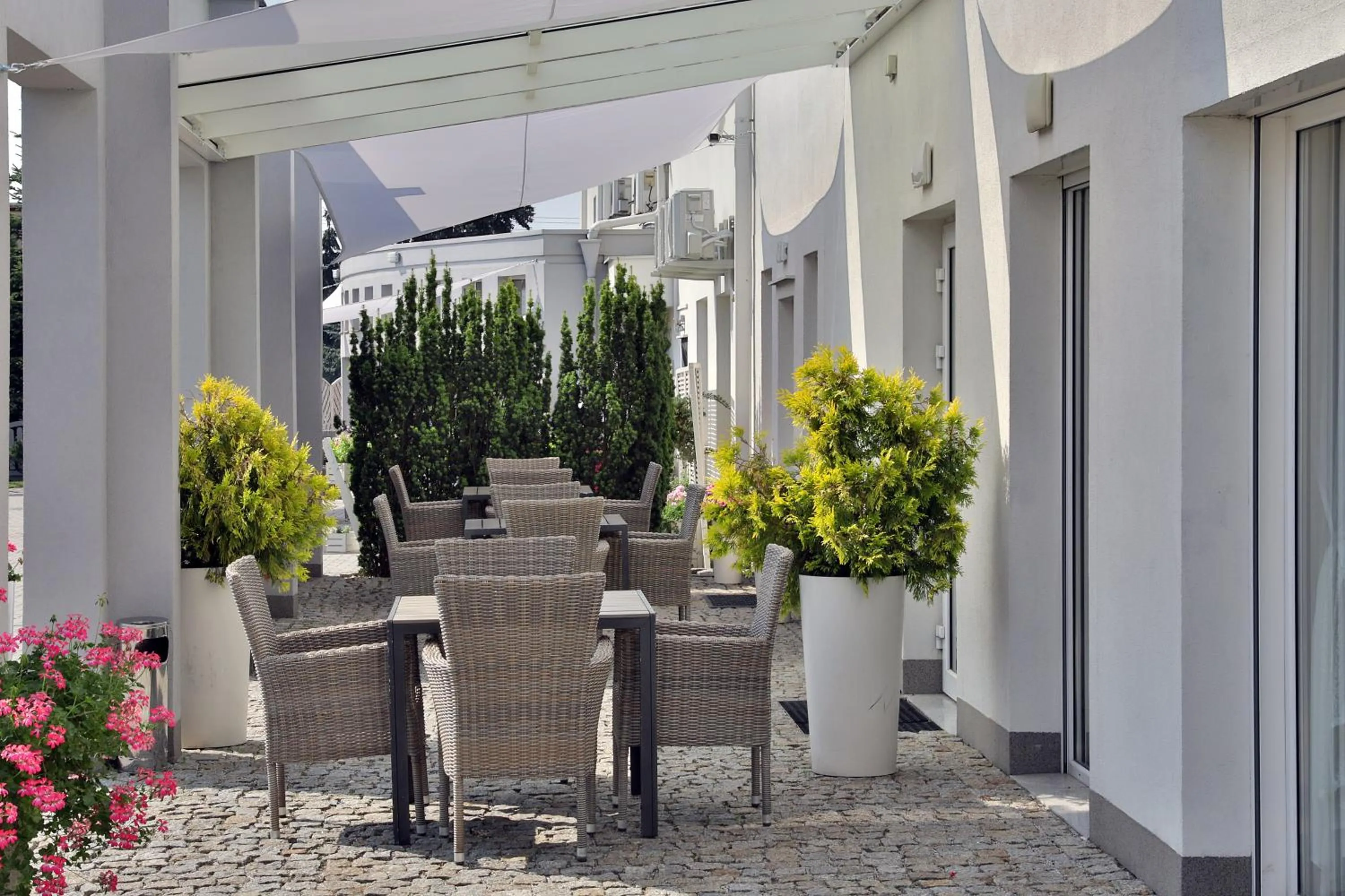 Biały Dom Henlex Hotel Restauracja