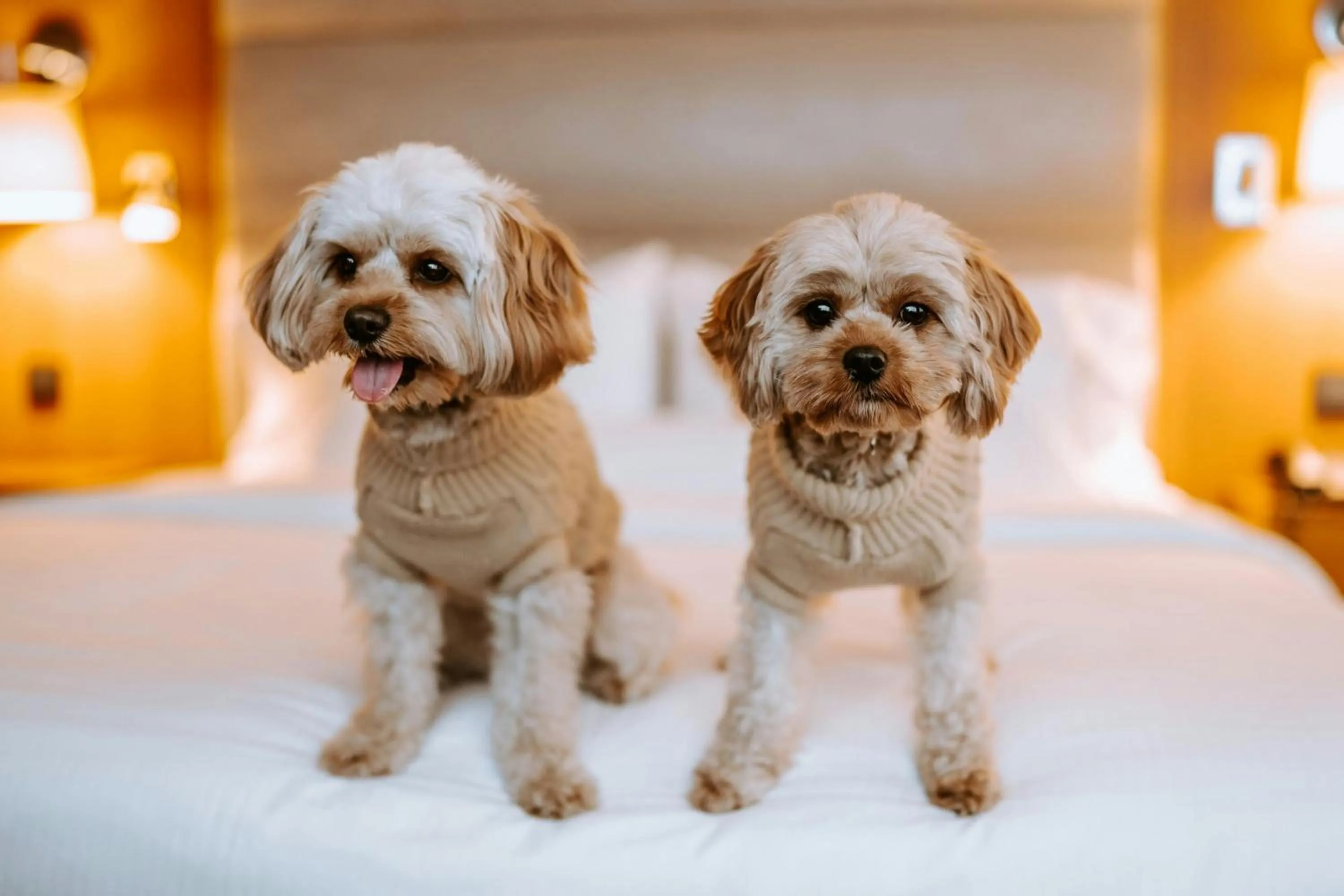 Other in The Westin Warsaw