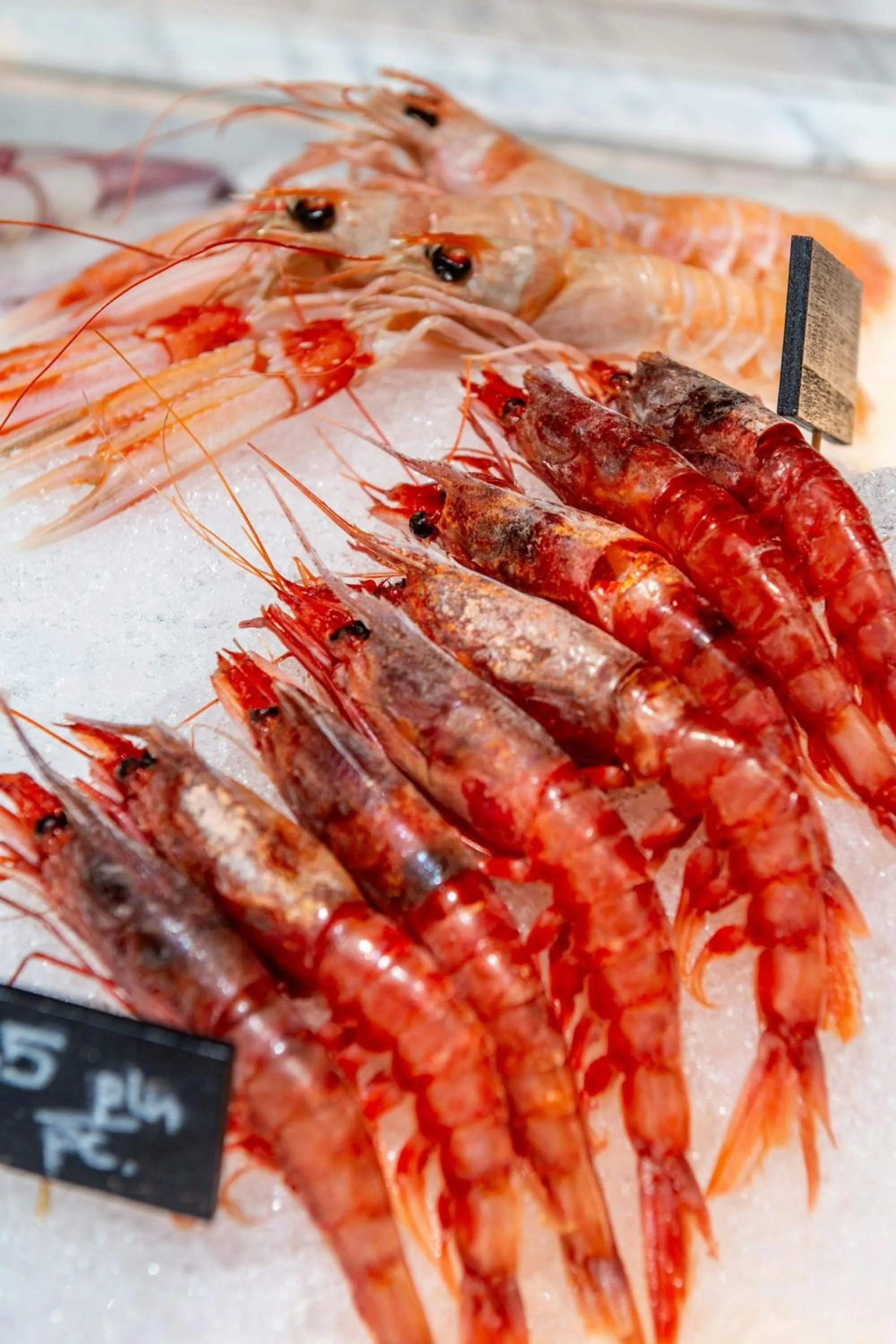 Restaurant/places to eat in Sheraton Grand Warsaw