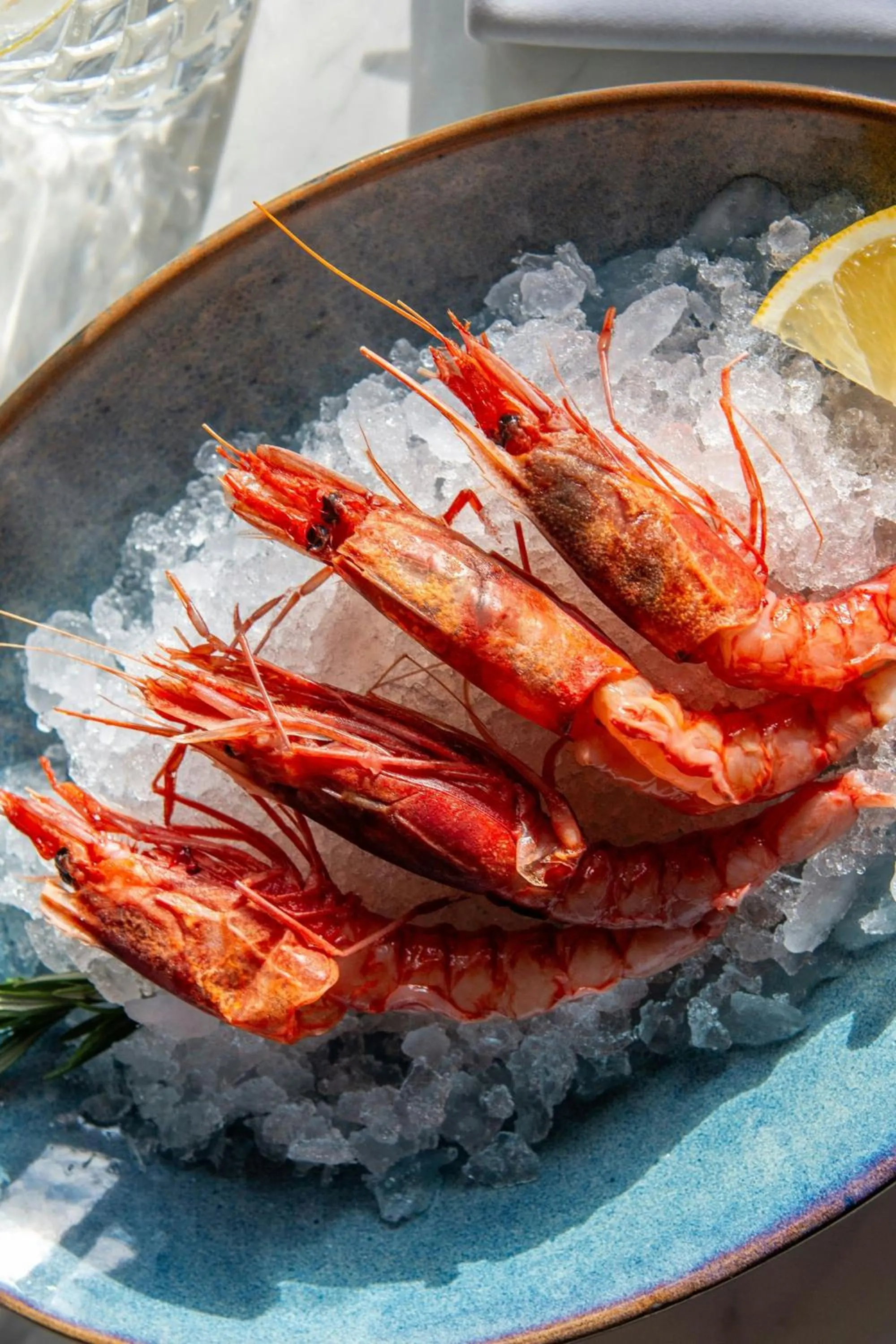 Restaurant/places to eat in Sheraton Grand Warsaw