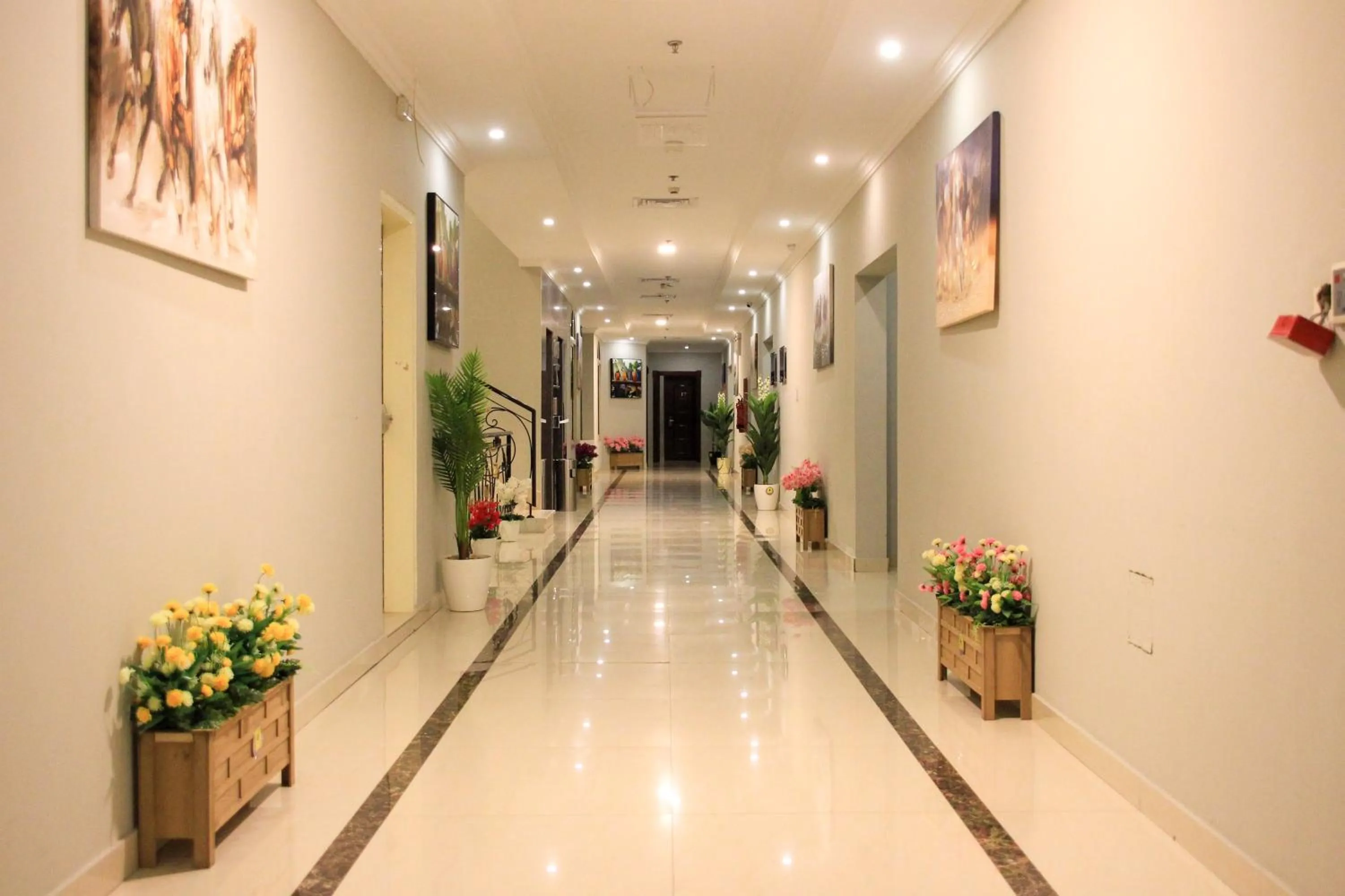 Other in شقق منازل سوات للشقق المخدومة