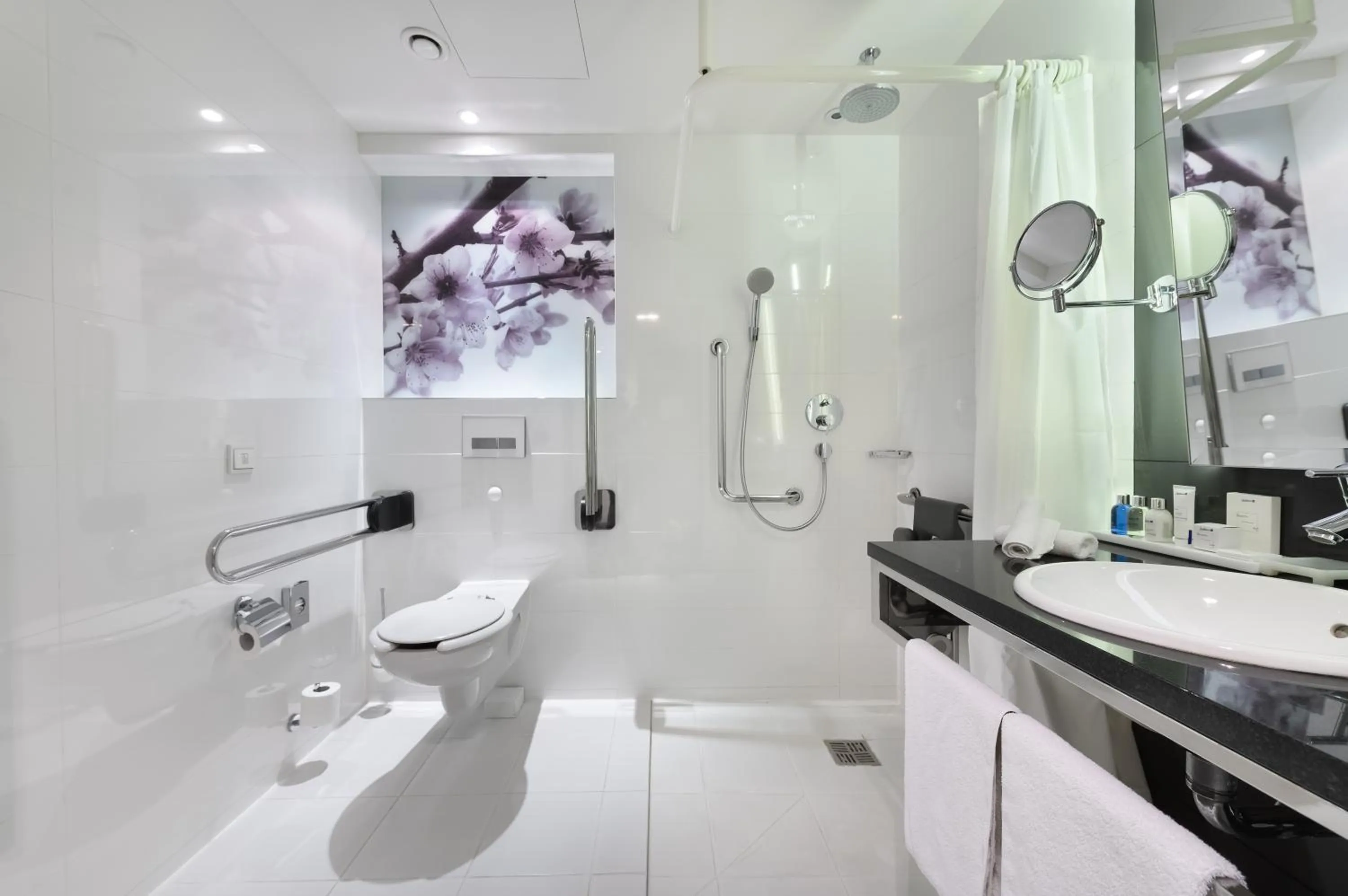 Toilet in Radisson Blu Sobieski