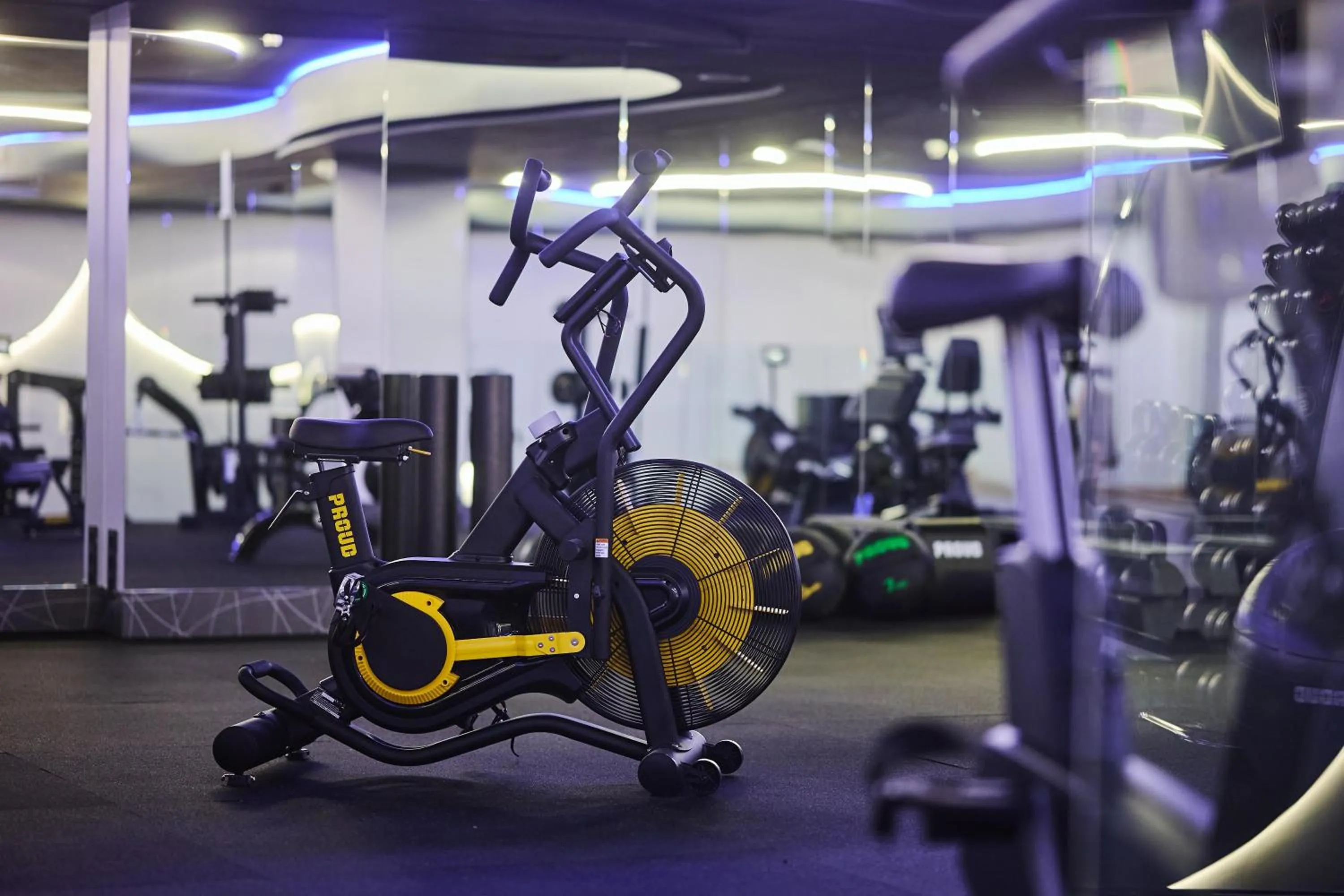 Fitness centre/facilities in Radisson Blu Sobieski