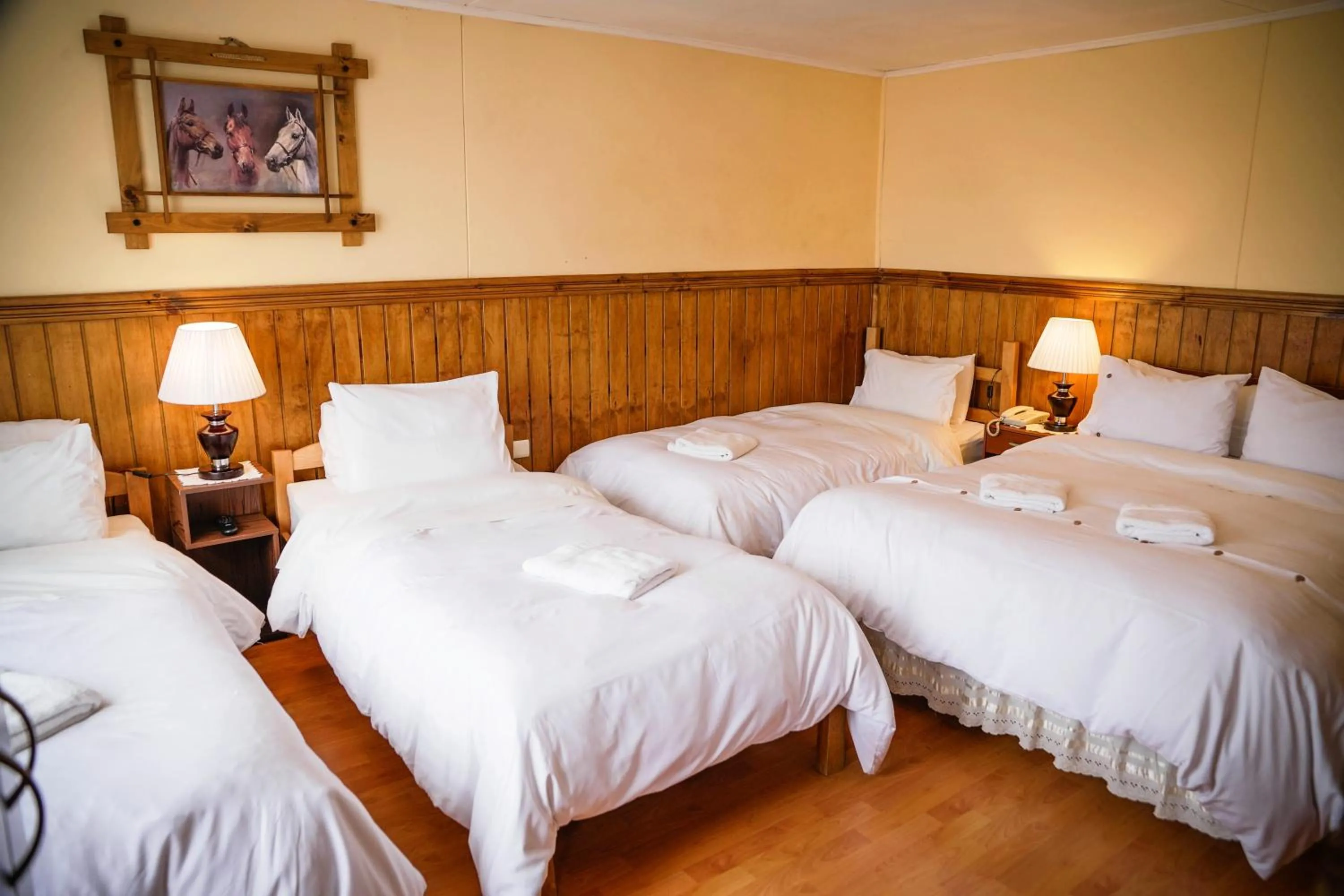 Bed in Hostal Hielo Sur