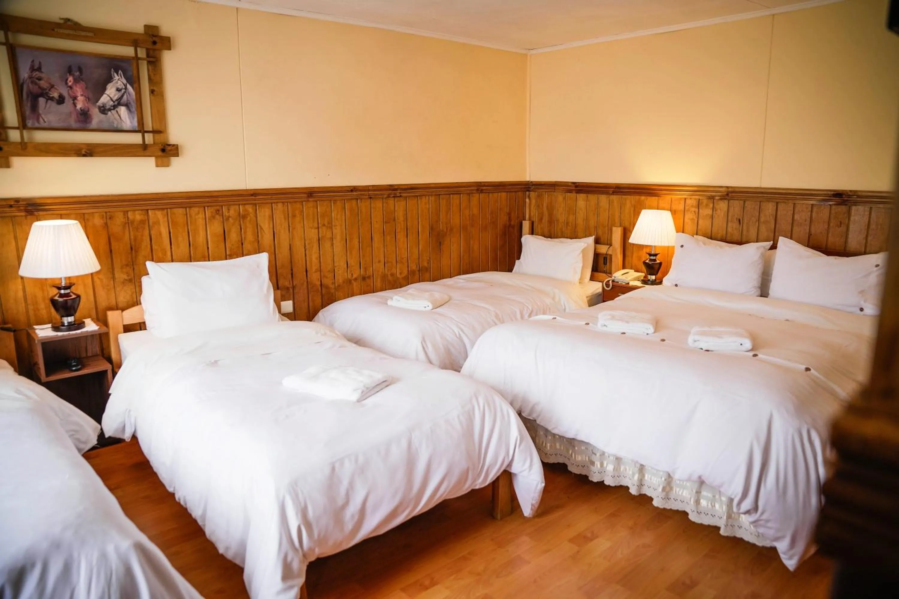 Bed in Hostal Hielo Sur
