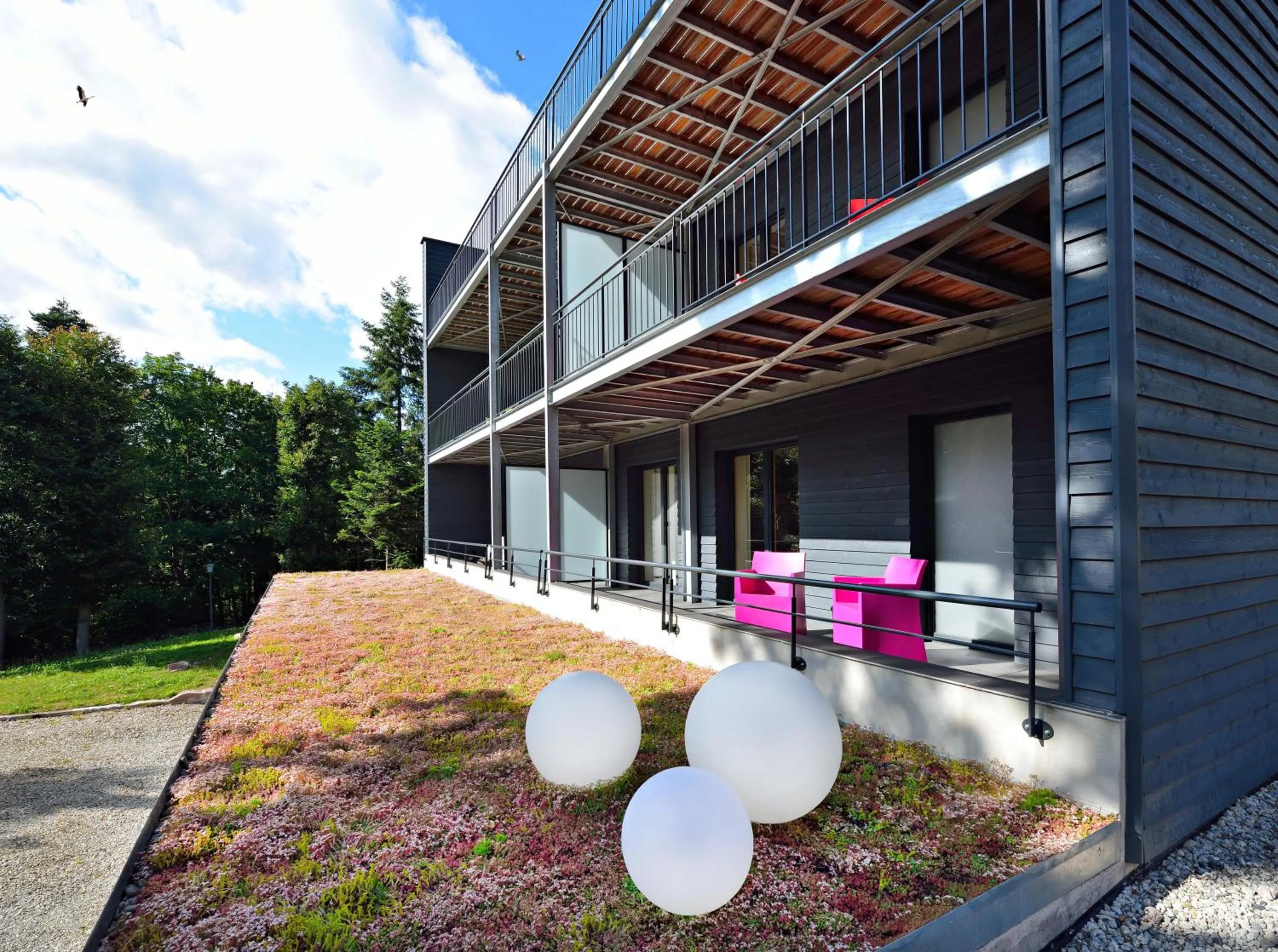 Balcony/Terrace in Cottage 1956 - Maison d'hôtes
