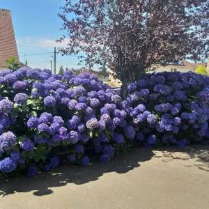 Garden in Lenard Charles Bed & Breakfast