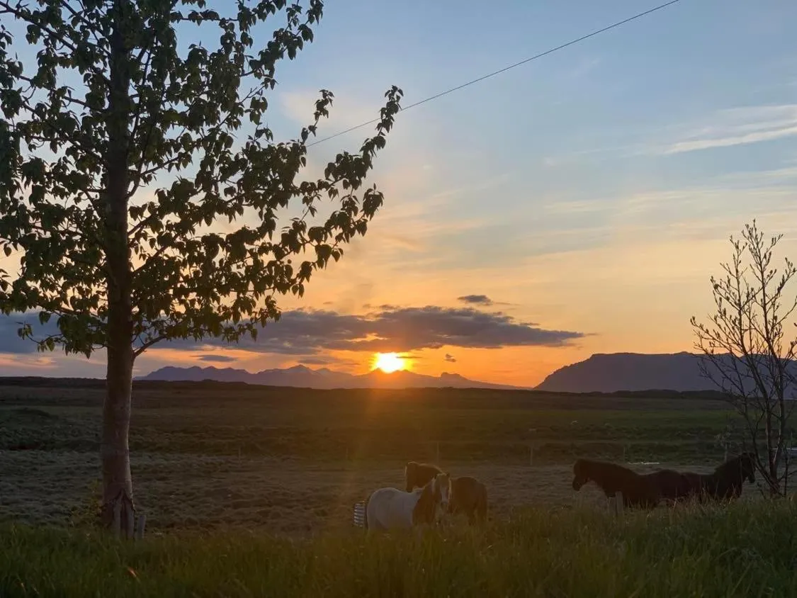 Sunset in Álftártunga Farm Guesthouse