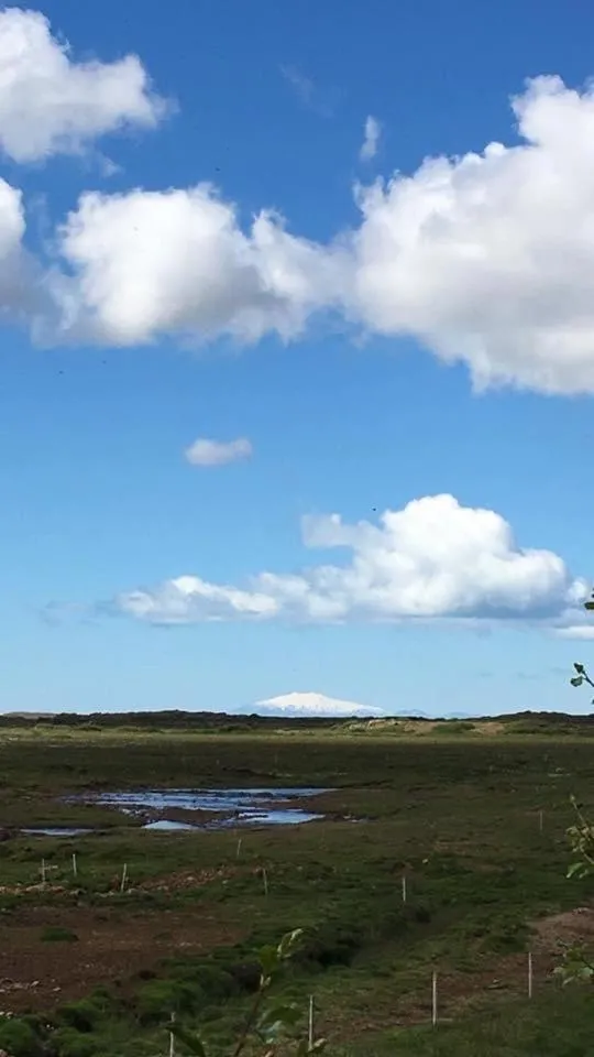 Natural landscape in Álftártunga Farm Guesthouse